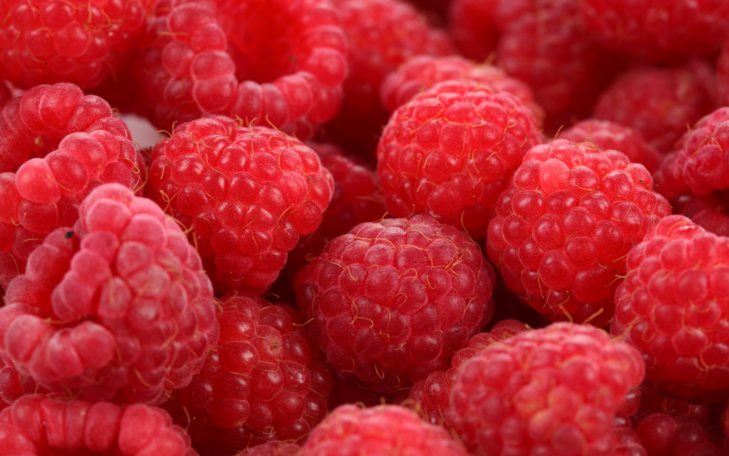 food, raspberry, berry, fruits 8K