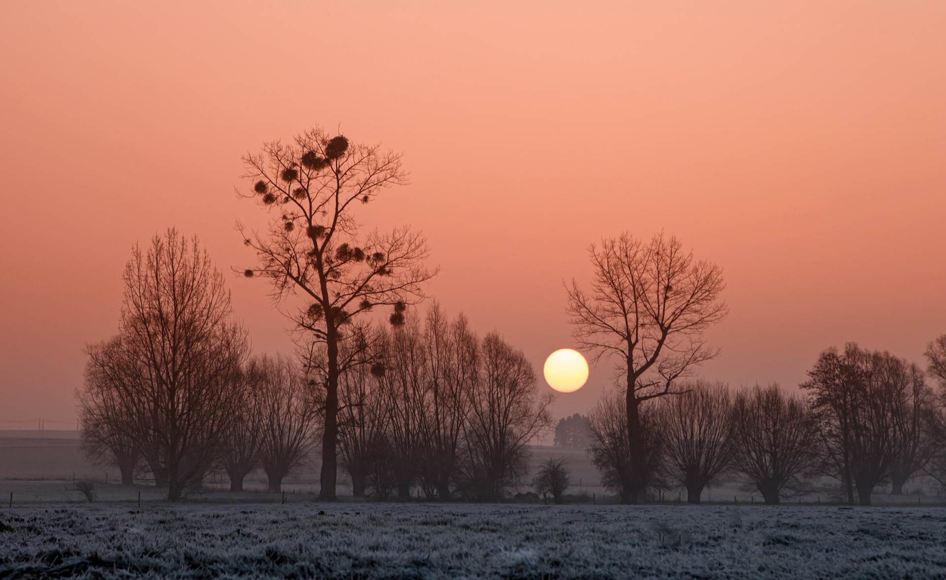 Laden Sie das Natur, Bäume, Sunset, Nebel, Afrika-Bild kostenlos auf Ihren PC-Desktop herunter