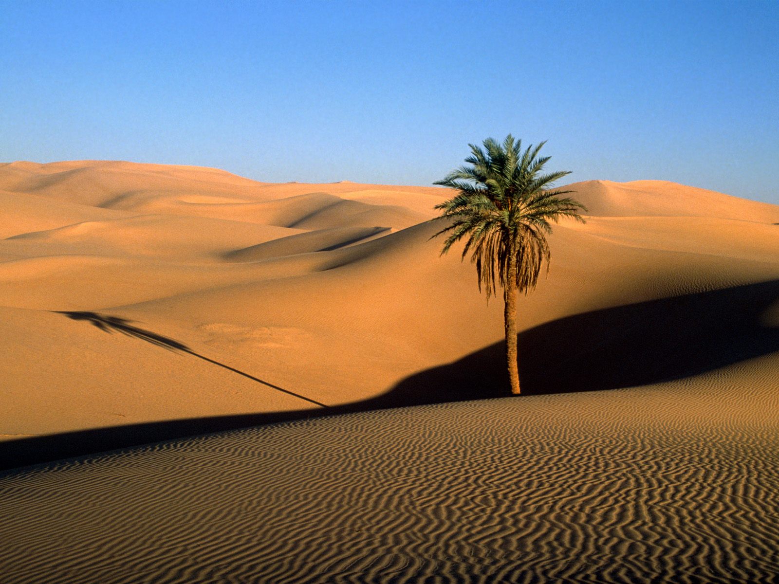 1076973 下載圖片 自然, 沙漠 - 免費壁紙和屏保