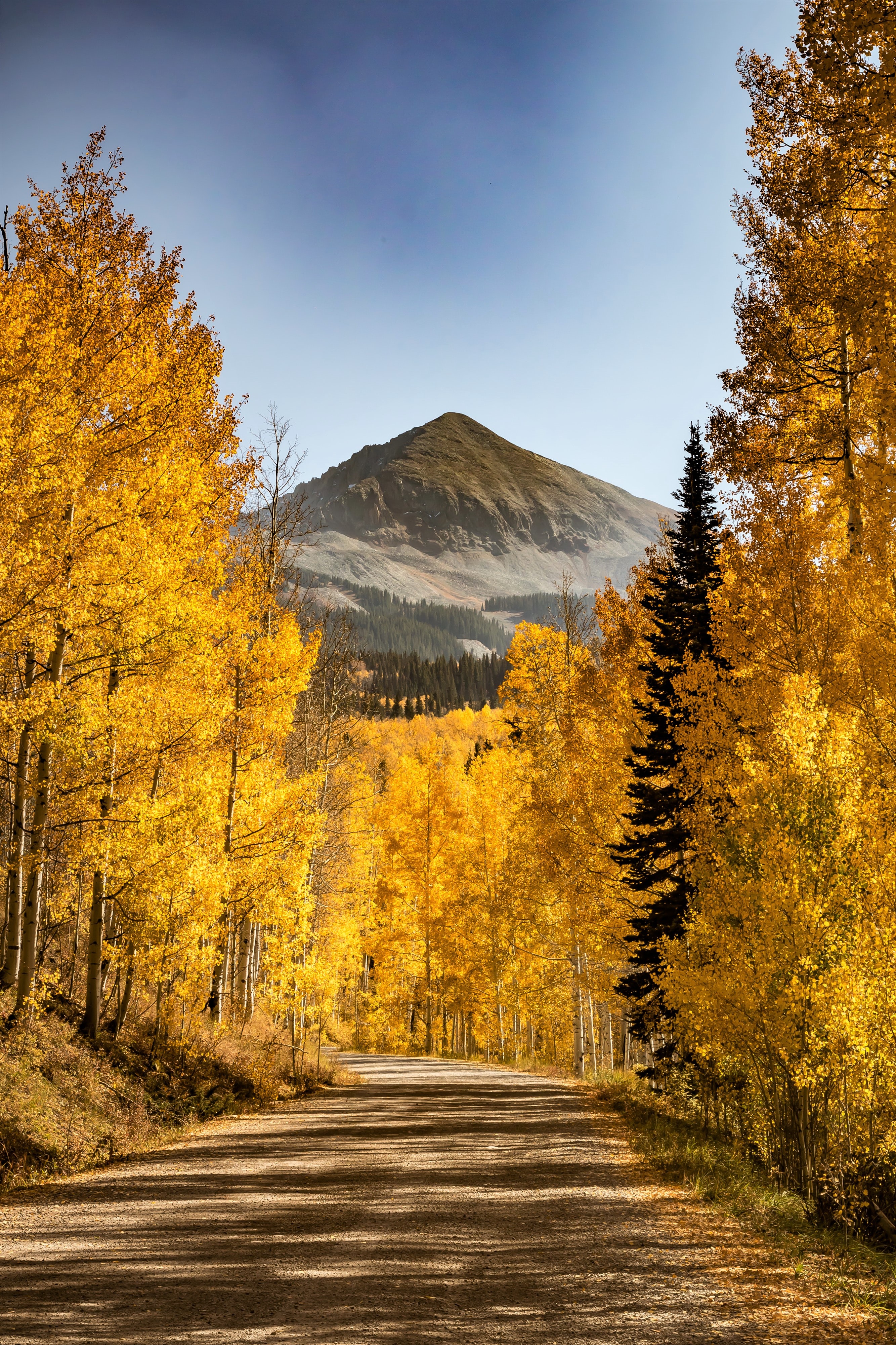 64279 завантажити шпалери осінь, природа, дерева, гори, ліс, стежка, шлях - заставки і картинки безкоштовно