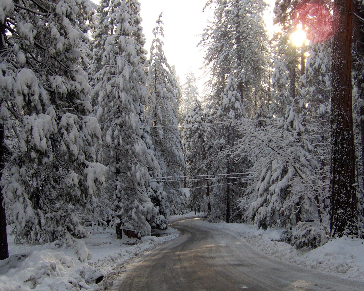 winter, nature, snow, road, ate cellphone