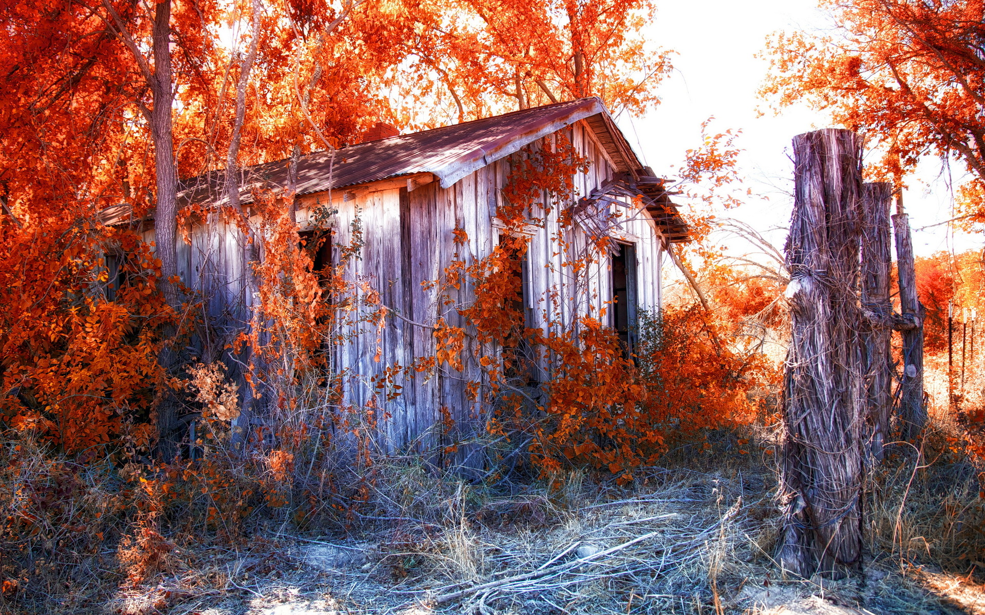 nature, man made, barn, fall, leaf, season Full HD