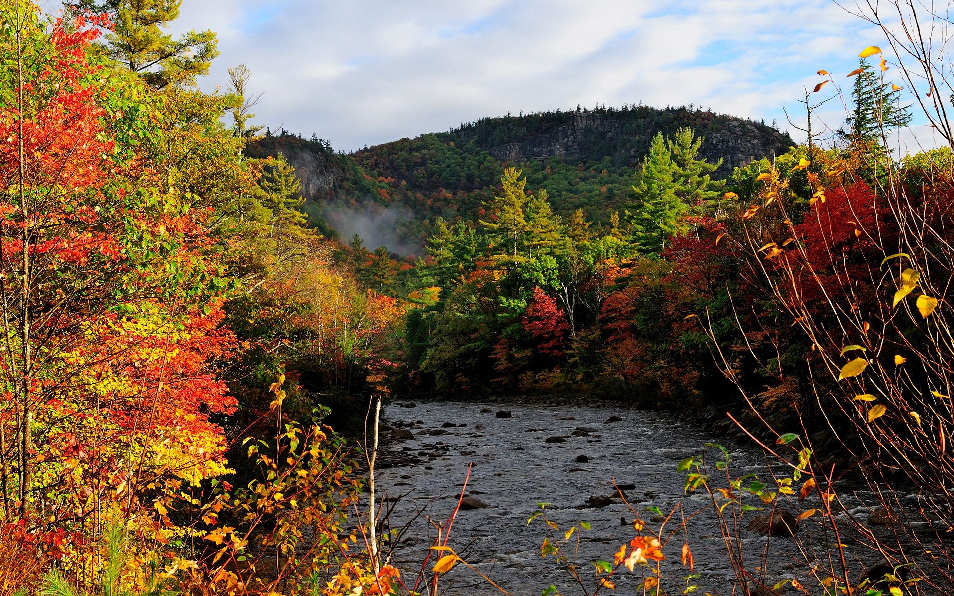 Laden Sie das Flüsse, Natur, Bäume, Wald, Herbst-Bild kostenlos auf Ihren PC-Desktop herunter