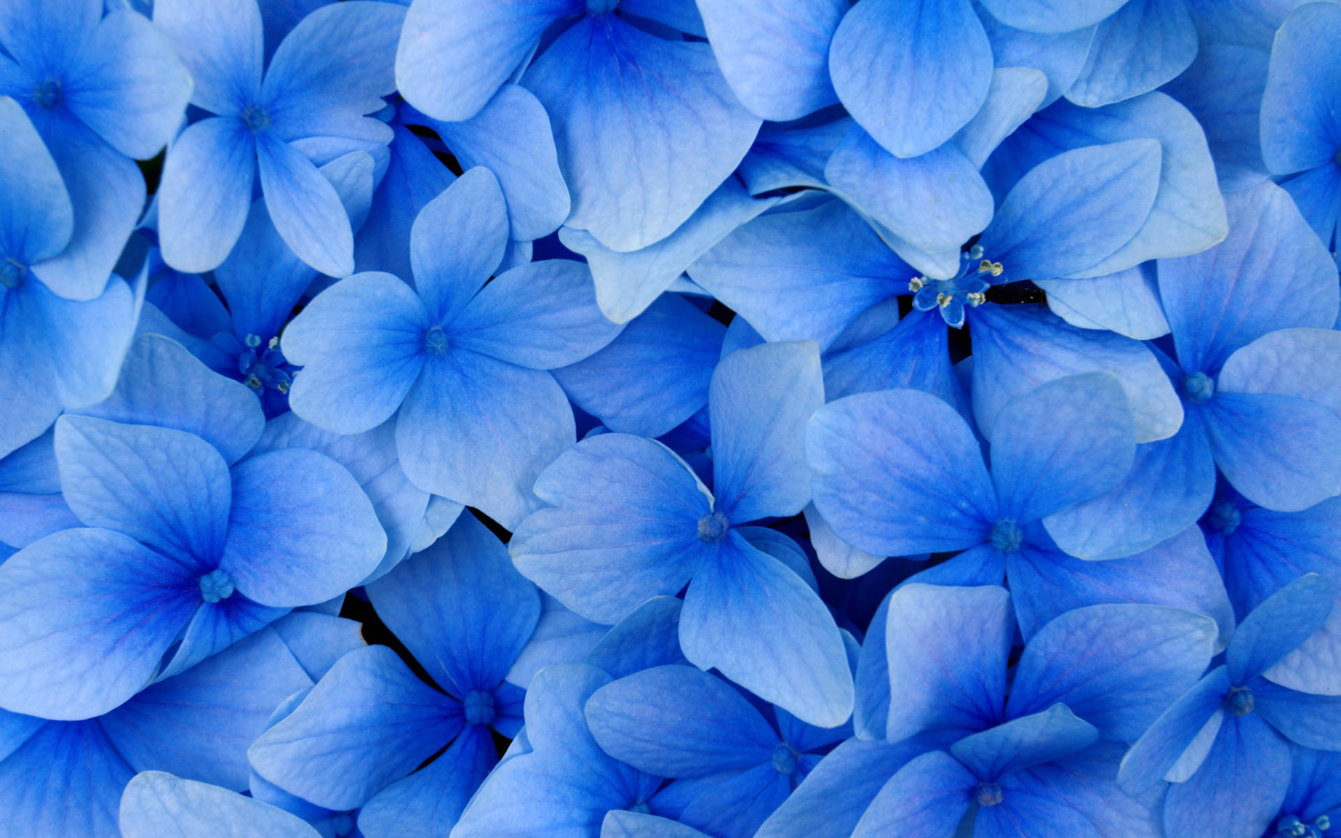 30623 free download Blue wallpapers for phone,  Blue images and screensavers for mobile