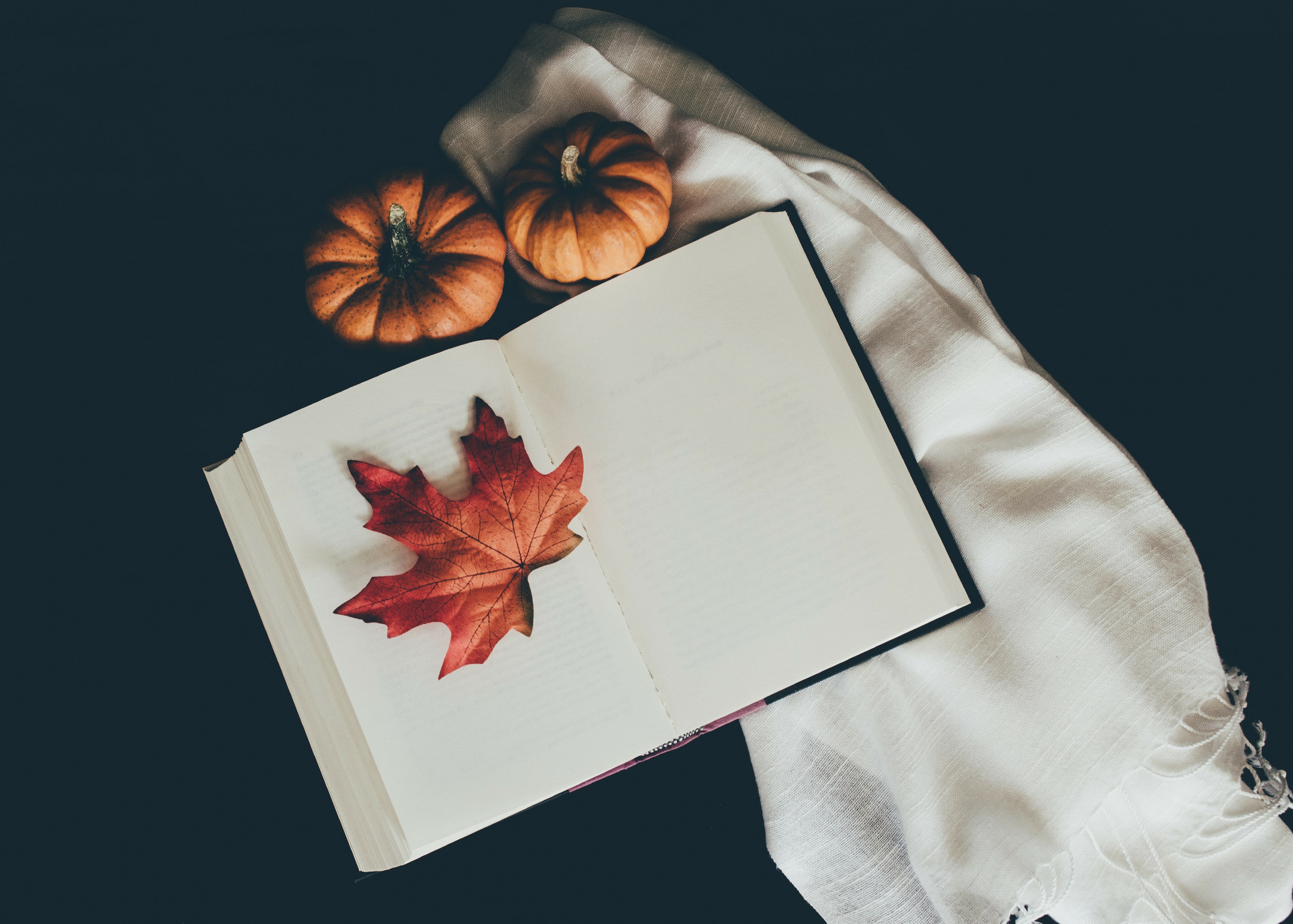 133161 завантажити картинку осінь, книга, листівки, різне, гарбуз, листок, шарф - шпалери і заставки безкоштовно