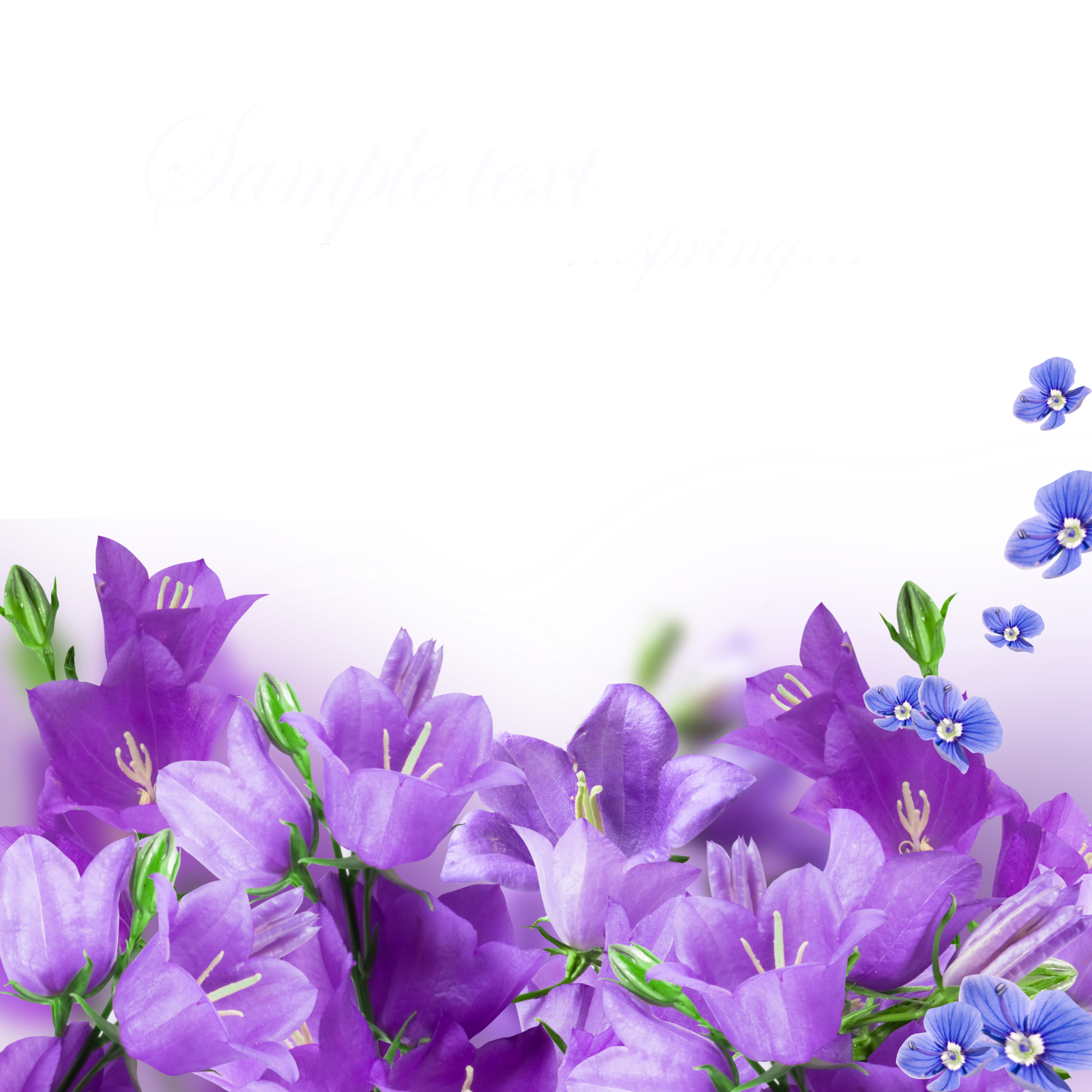Download mobile wallpaper Plants, Flowers for free.