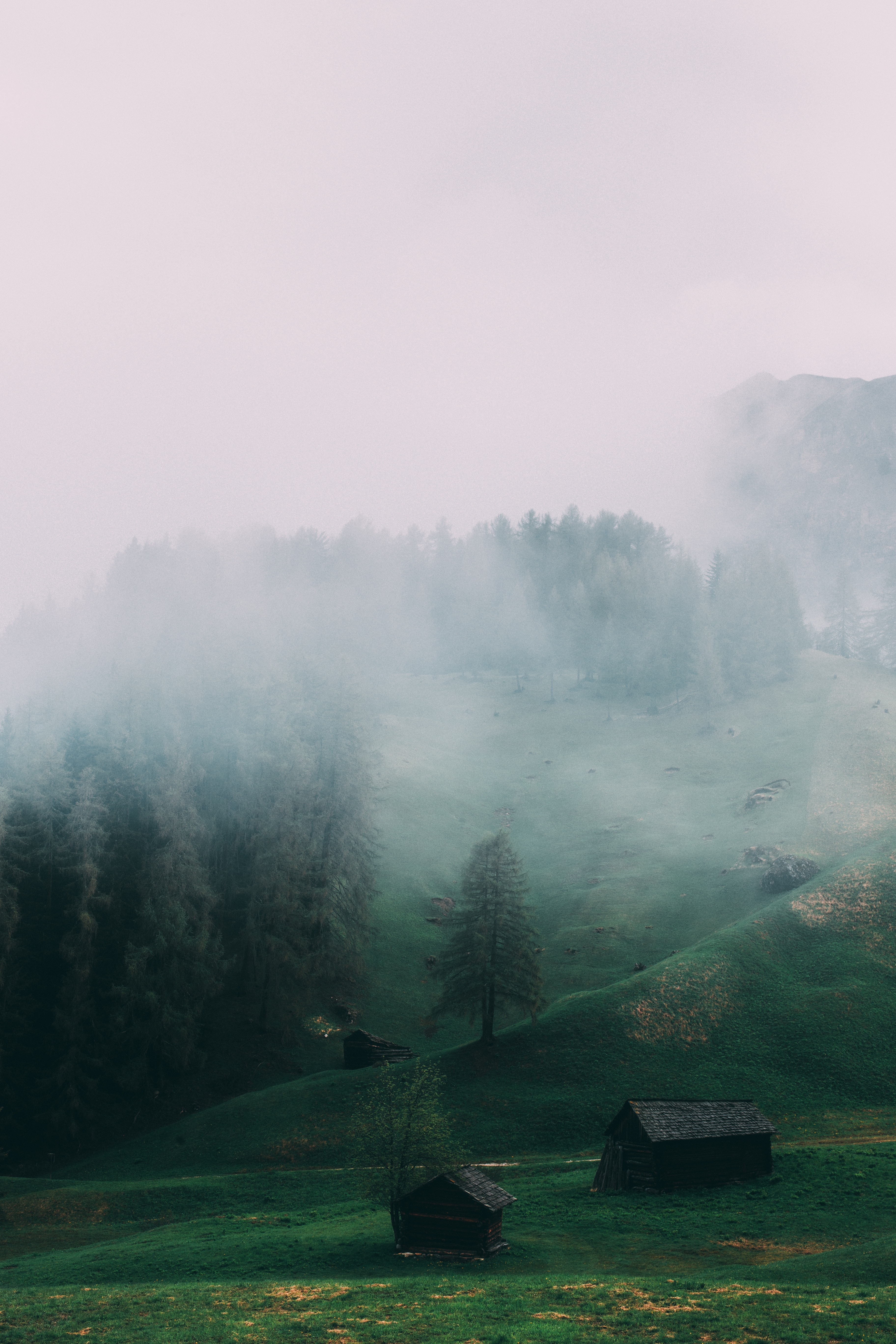 Download mobile wallpaper Ladinia, Nature, Dolomites, Field, Fog, Italy for free.