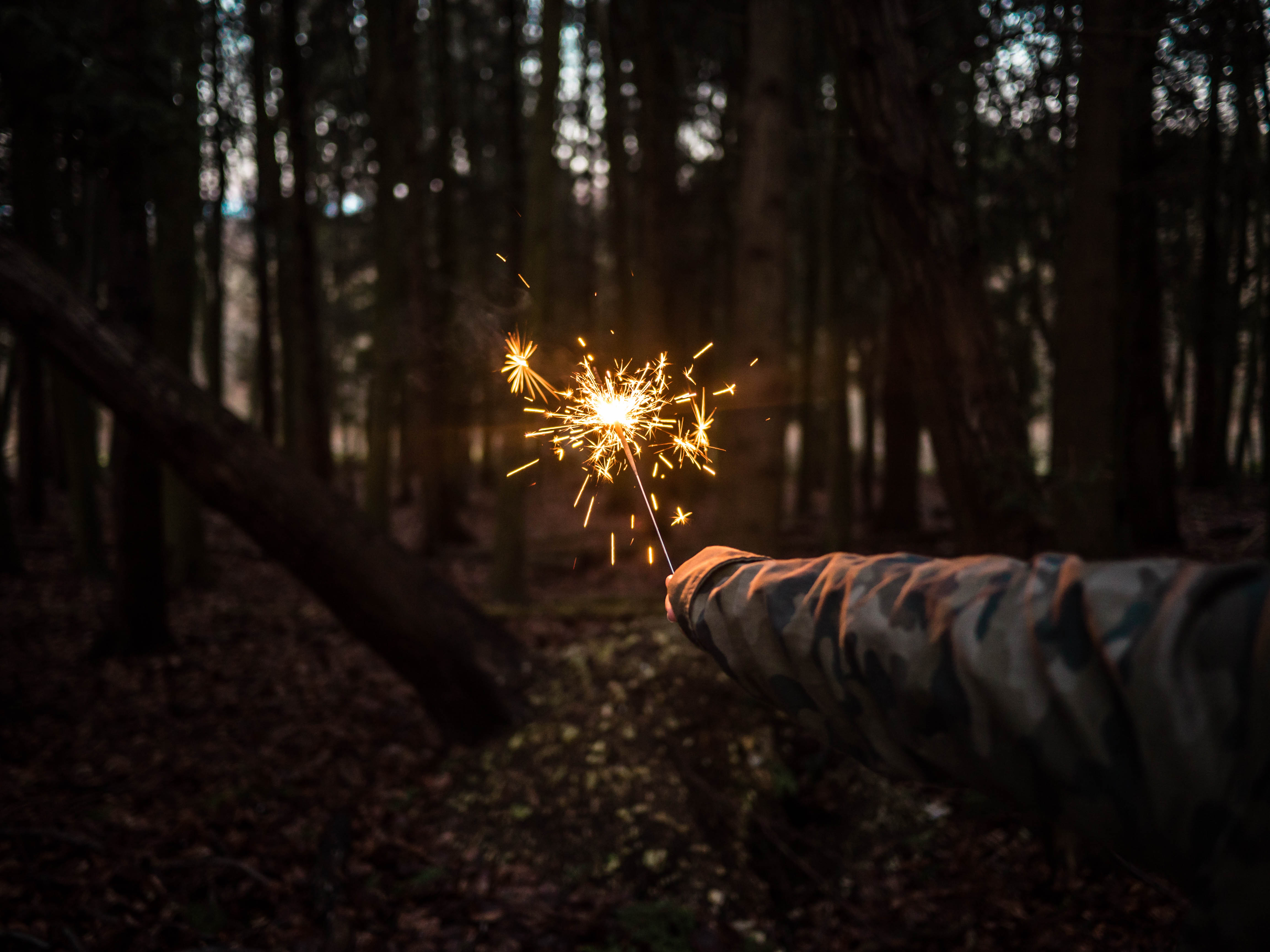 sparkler, night, hand, miscellanea, miscellaneous, forest phone background