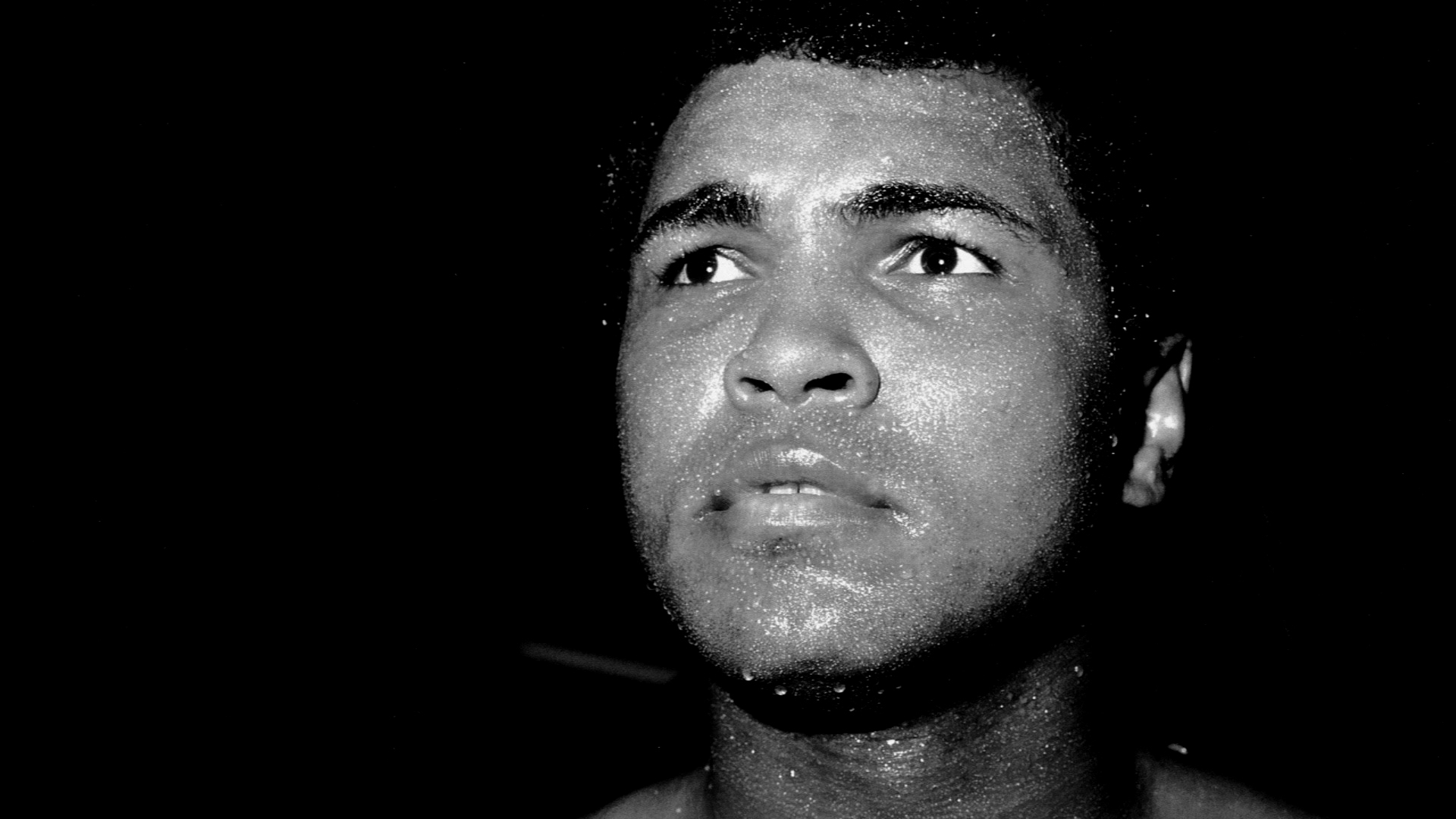 PC Wallpapers  Muhammad Ali