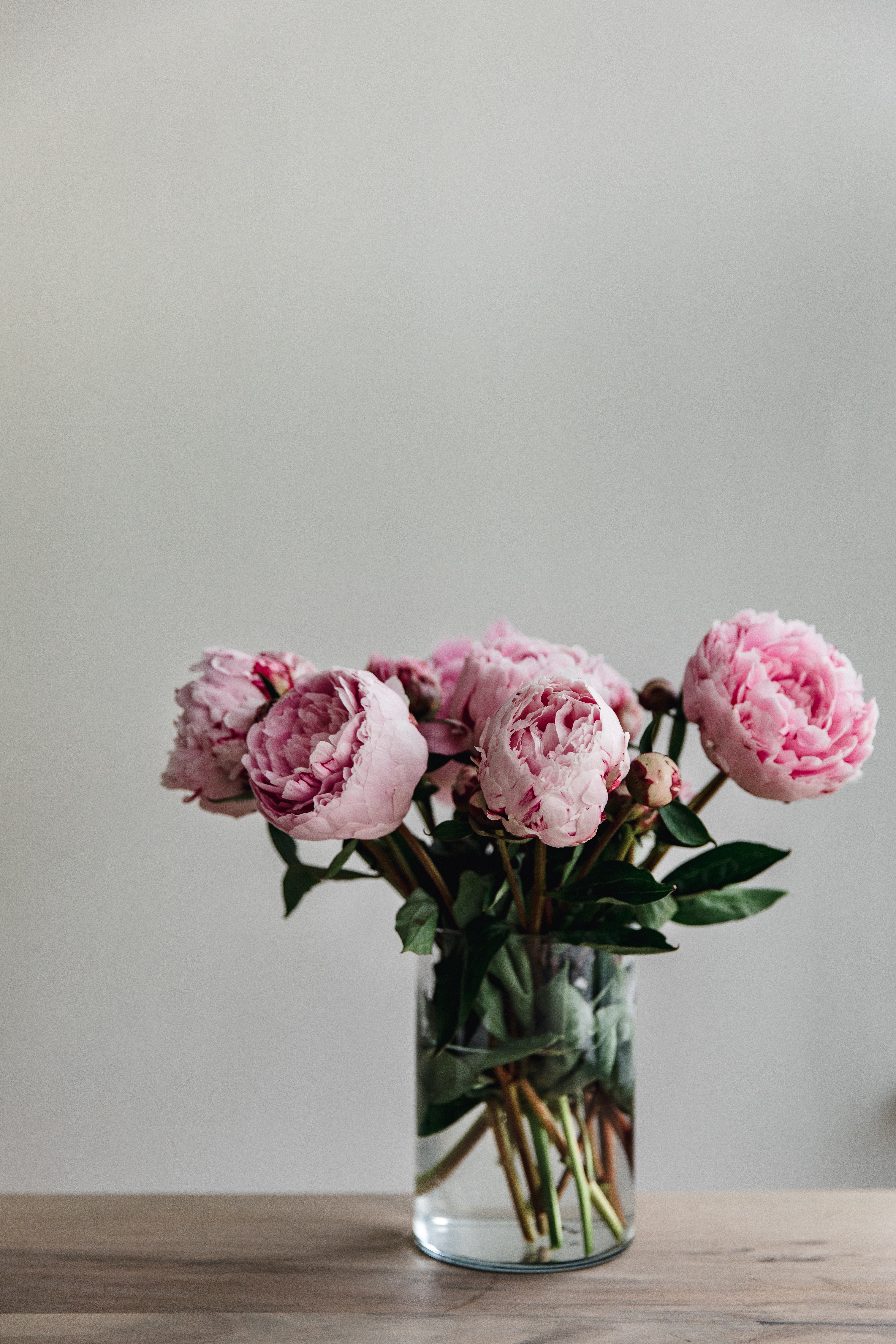 142302 Hintergrundbild herunterladen blumen, pfingstrosen, rosa, strauß, bouquet, vase - Bildschirmschoner und Bilder kostenlos