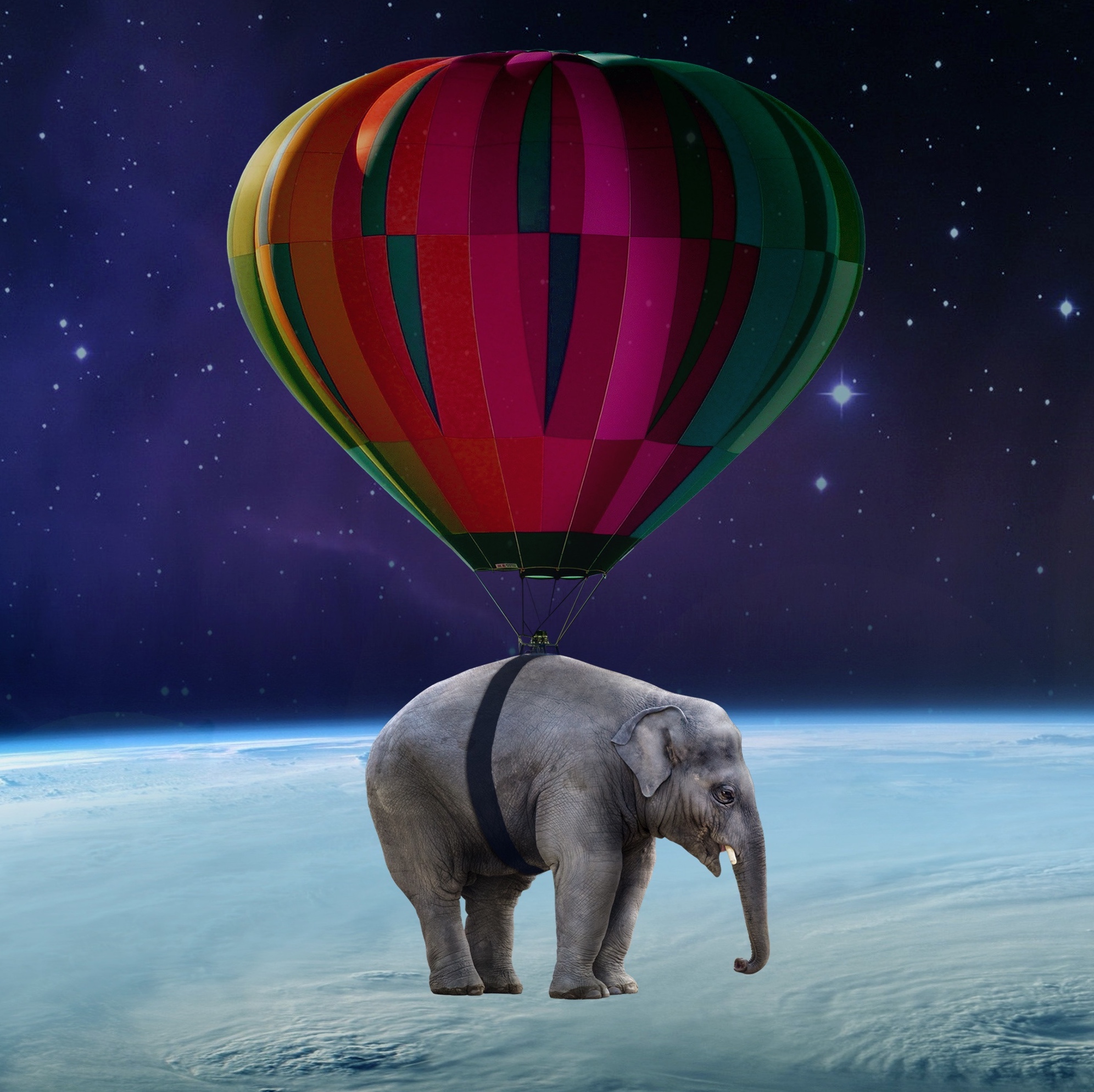 在您的 PC 桌面上免費下載 宇宙, 气球, 杂项, 失重, 大象 圖片