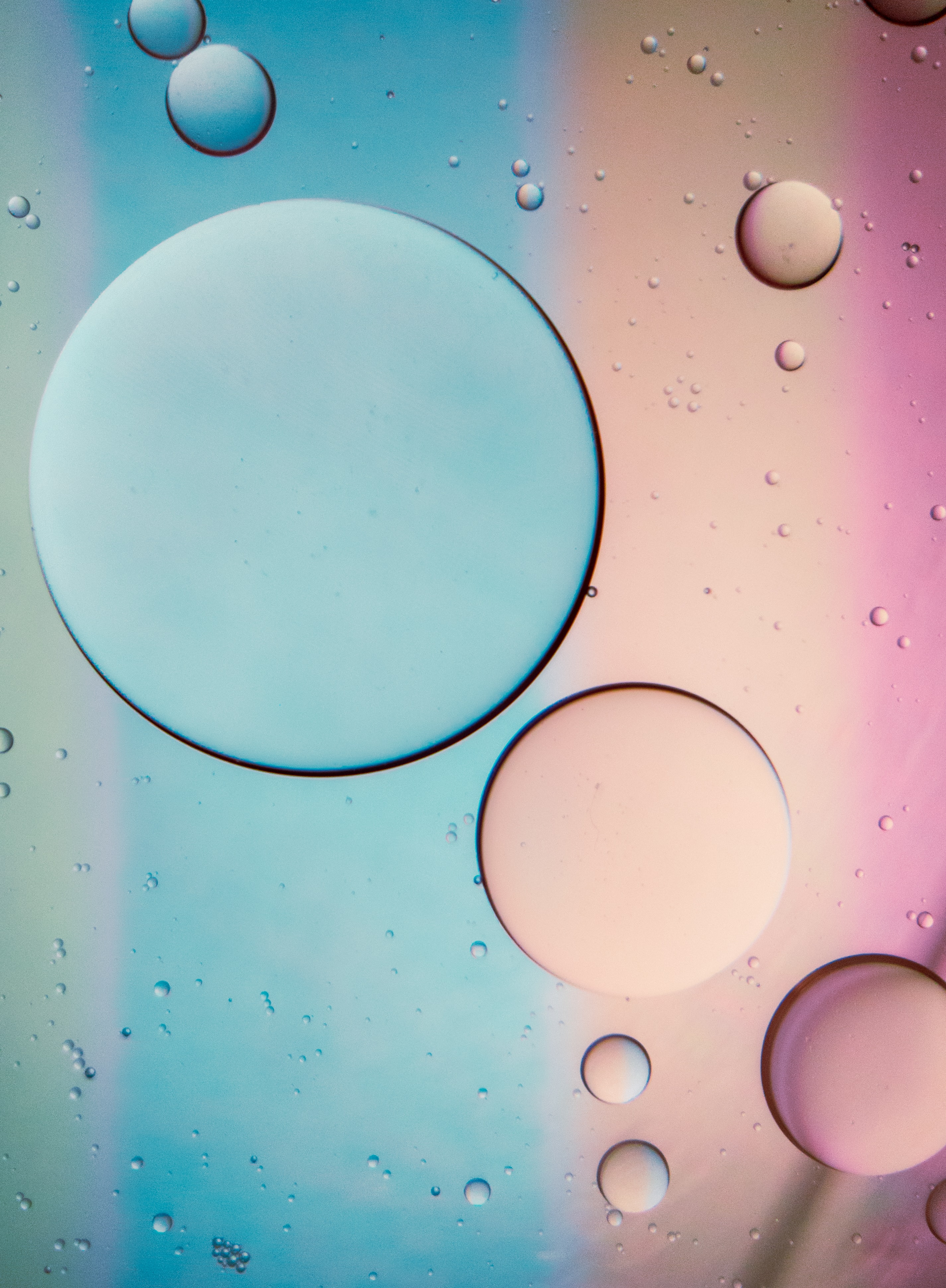 bubbles, blue, pink, macro, liquid, butter, oil