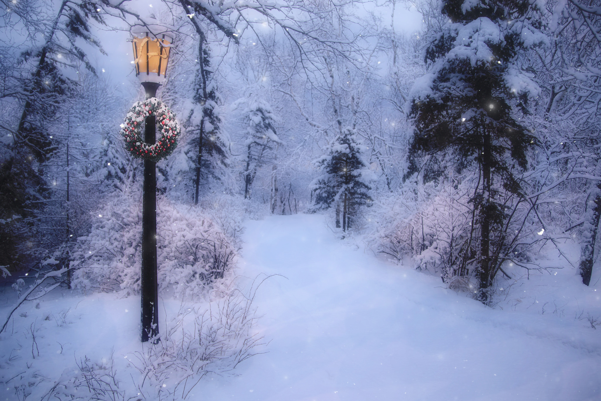 snowfall, photography, winter, christmas, earth, road, snow, wreath