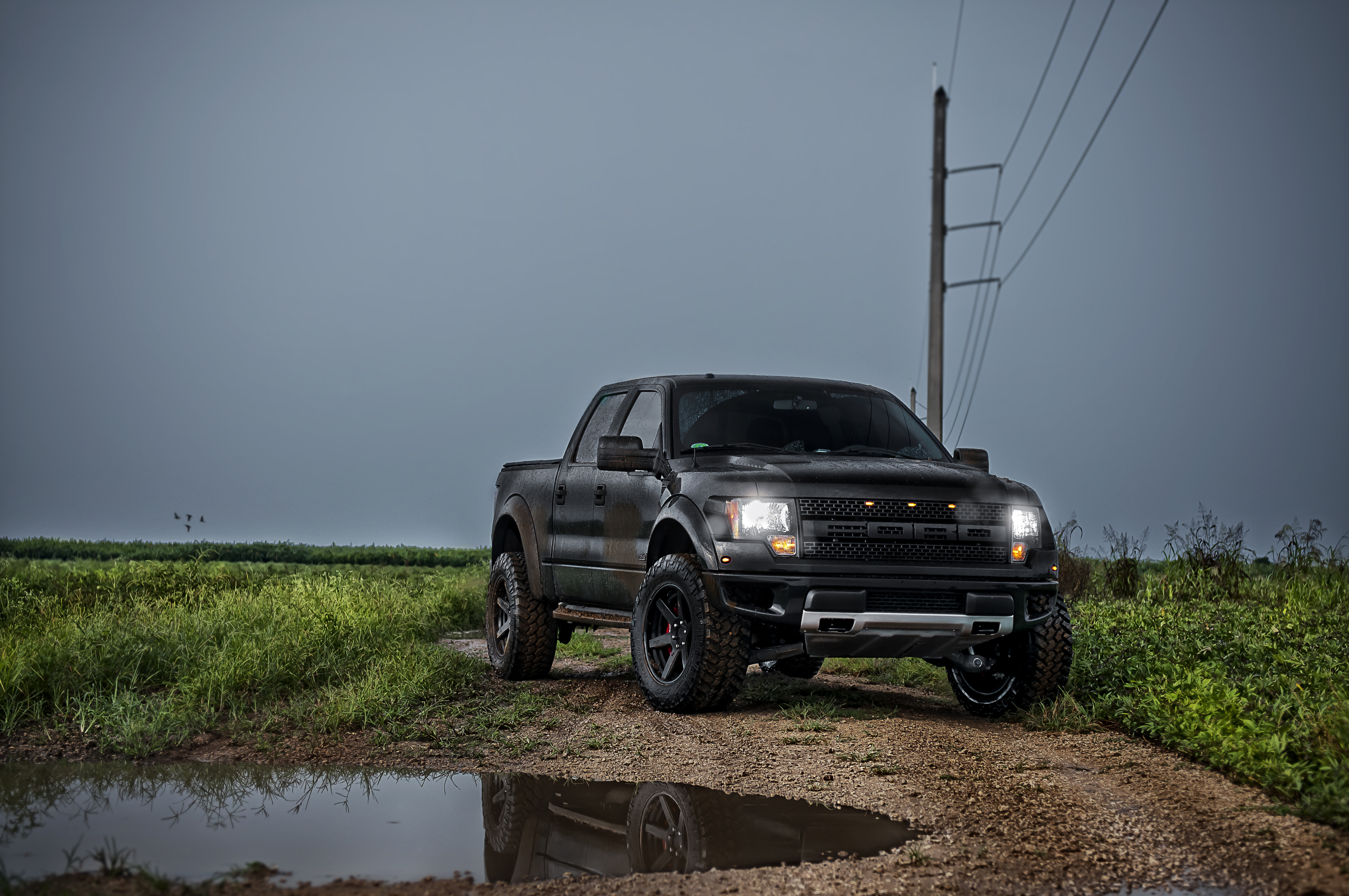 ford raptor, vehicles, ford