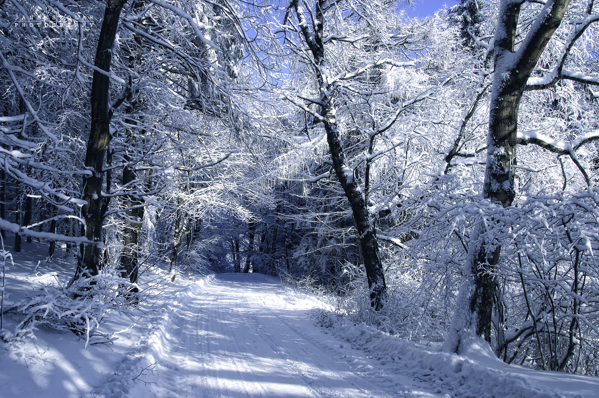 Скачать картинку Снег, Деревья, Зима, Дороги, Пейзаж в телефон бесплатно.