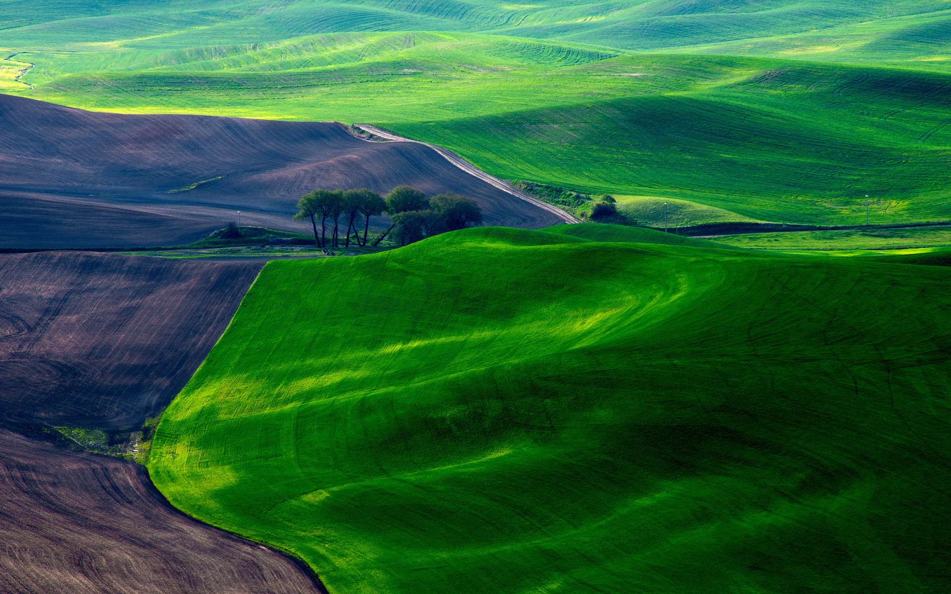 earth, landscape, crops, field HD wallpaper