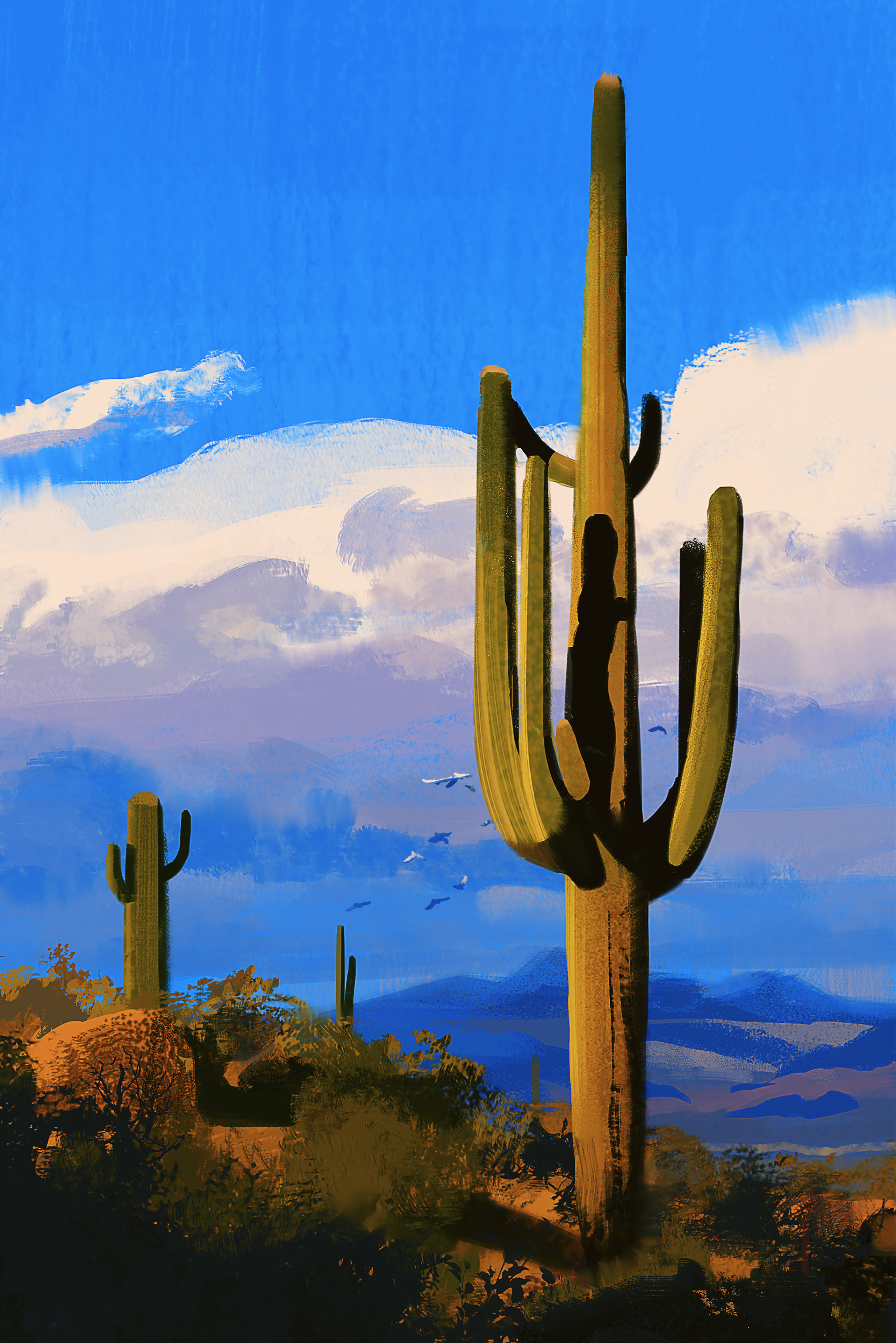 art, cactuses, birds, prairie, canvas HD wallpaper