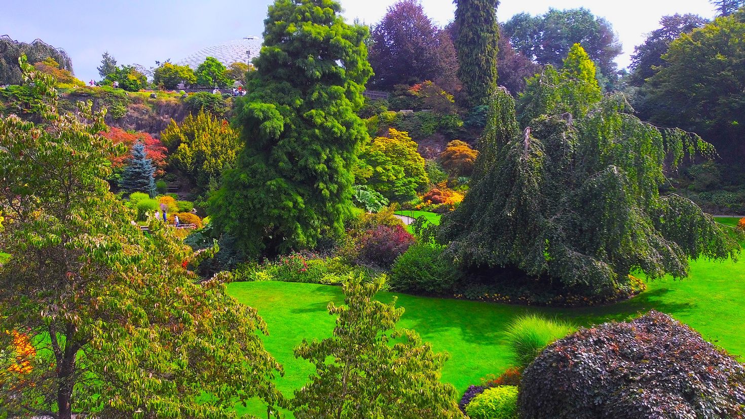 Сады королевы. Канада сады Queen Elizabeth Garden Ванкувер. Канада сады королевы Елизаветы фото. Обои Ботанический сад. Восточная ель в саду.