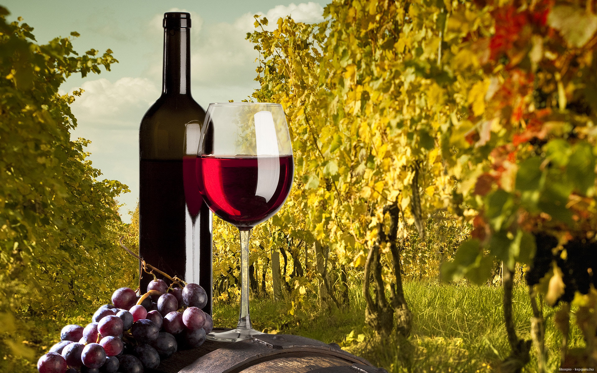 Живые обои вино. Вино и виноград. Домашнее вино. Вина виноградные натуральные. Вино реклама.