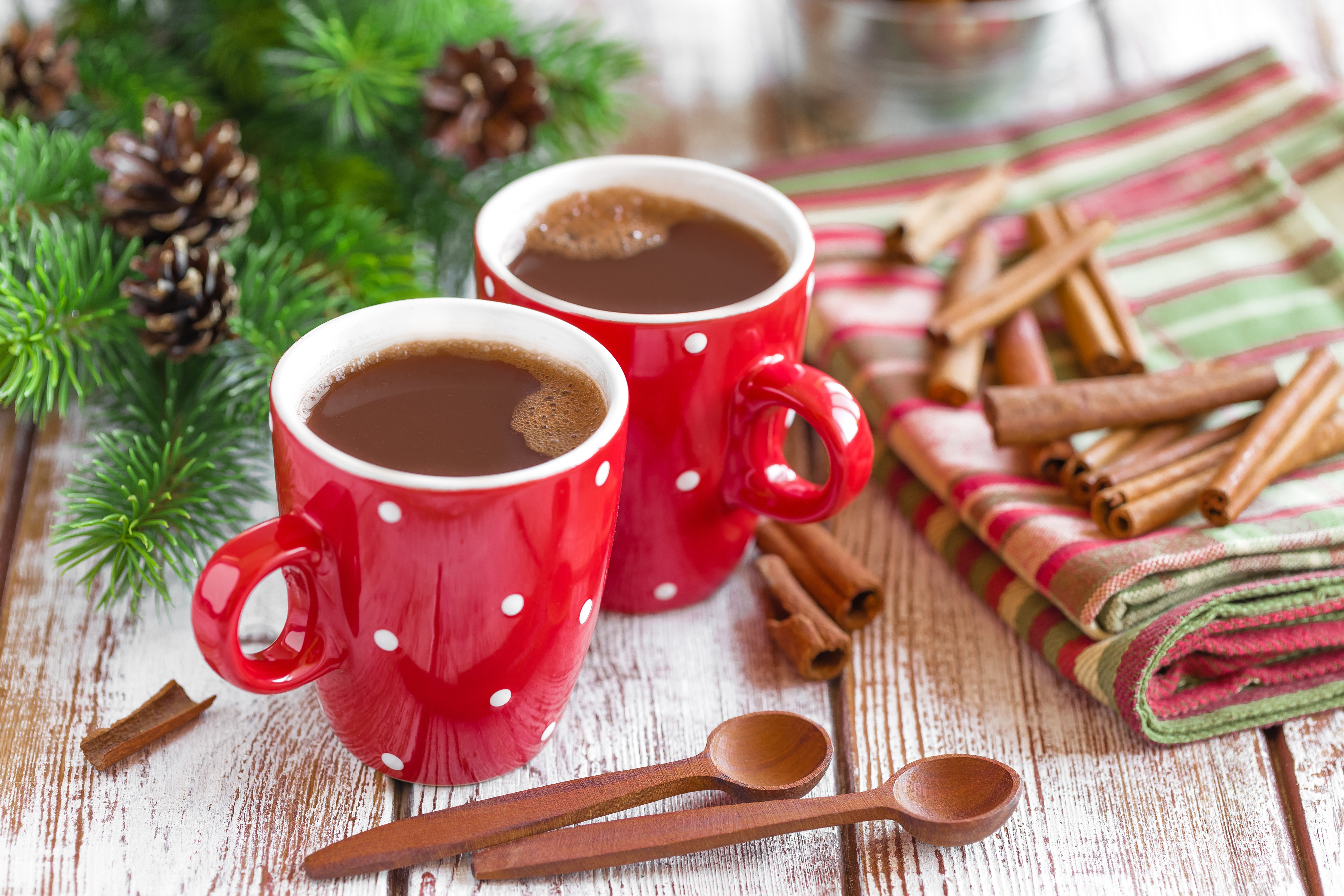 Free download wallpaper Food, Cinnamon, Cup, Hot Chocolate on your PC desktop
