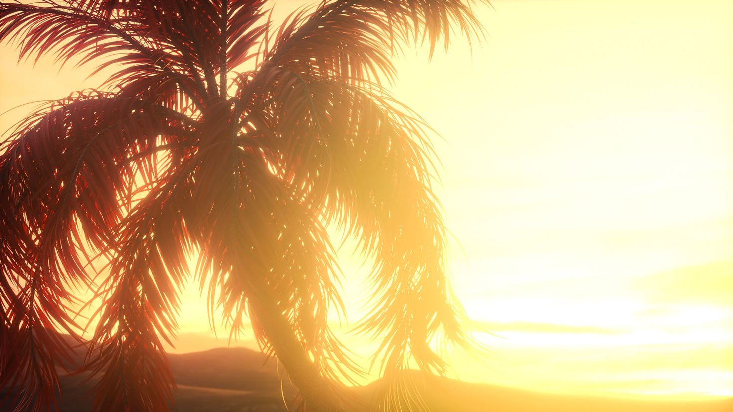 Листья пальмы на закате