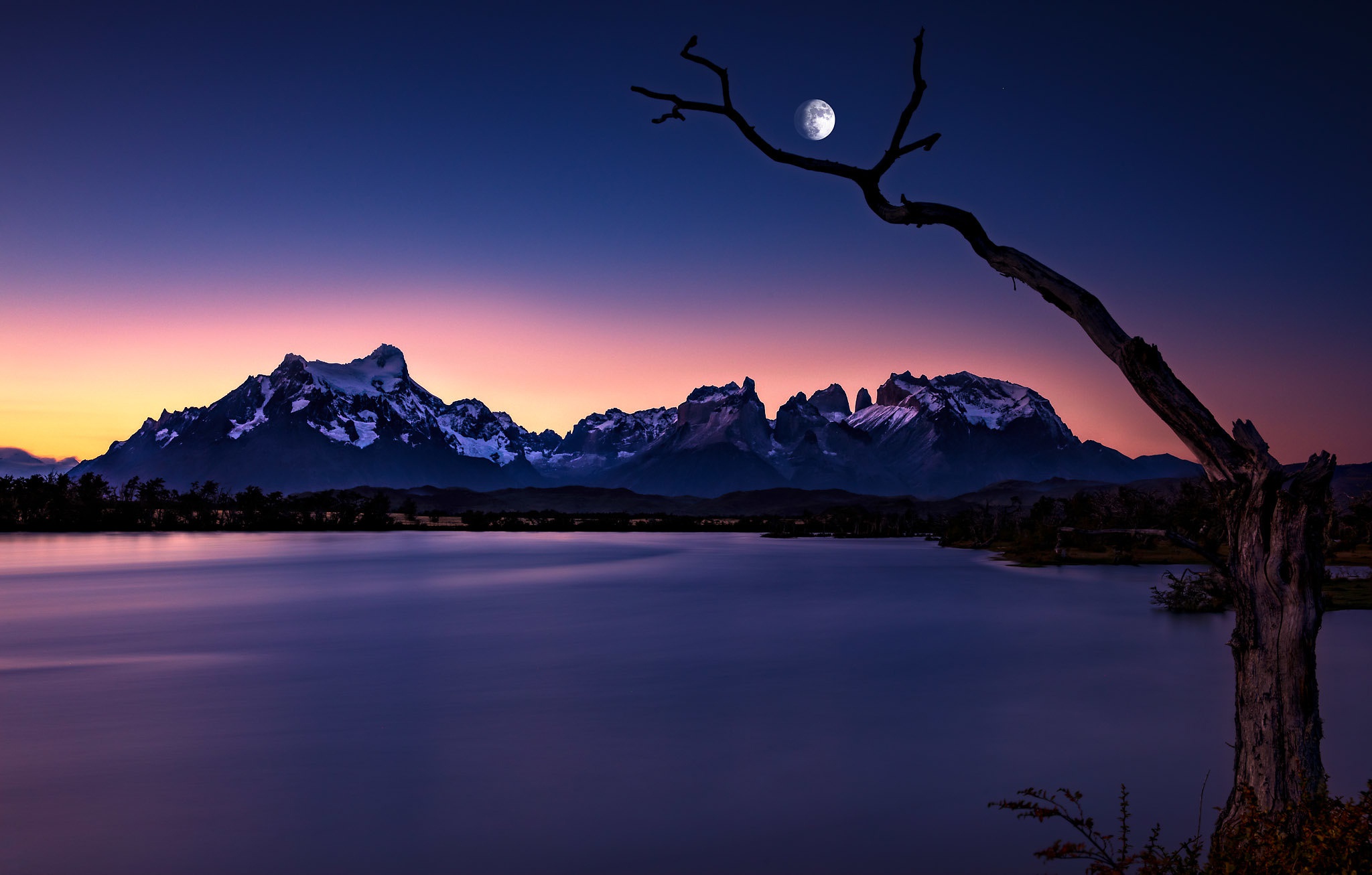 mountains, earth, torres del paine, moon, mountain, night, tree