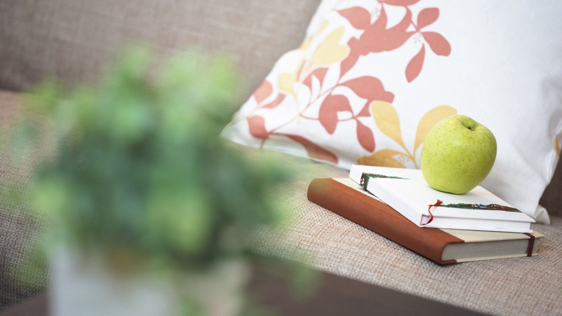 apple, books, miscellanea, miscellaneous, blur, smooth, cushions, pillows images