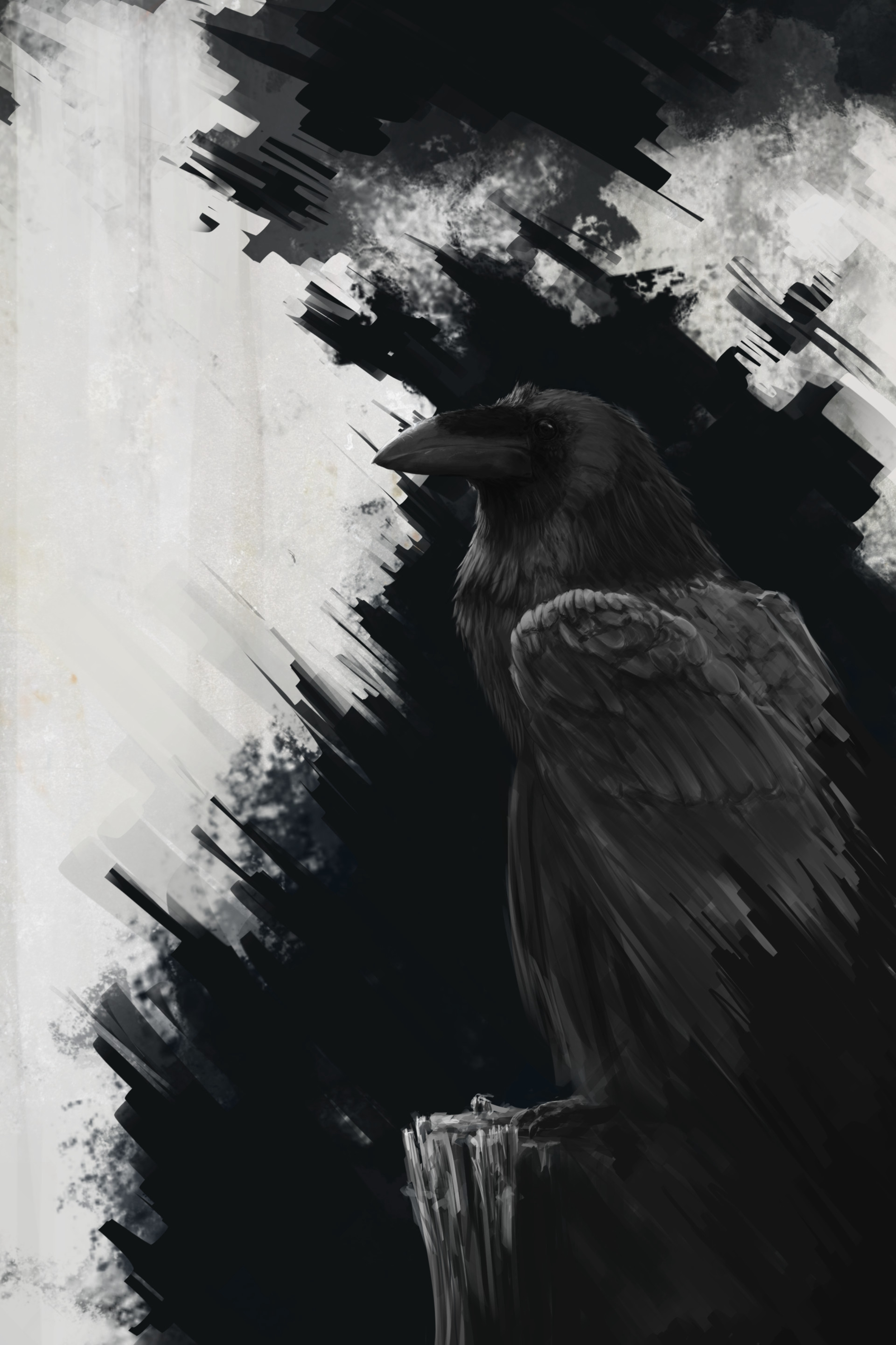 Best Raven Full HD Wallpaper