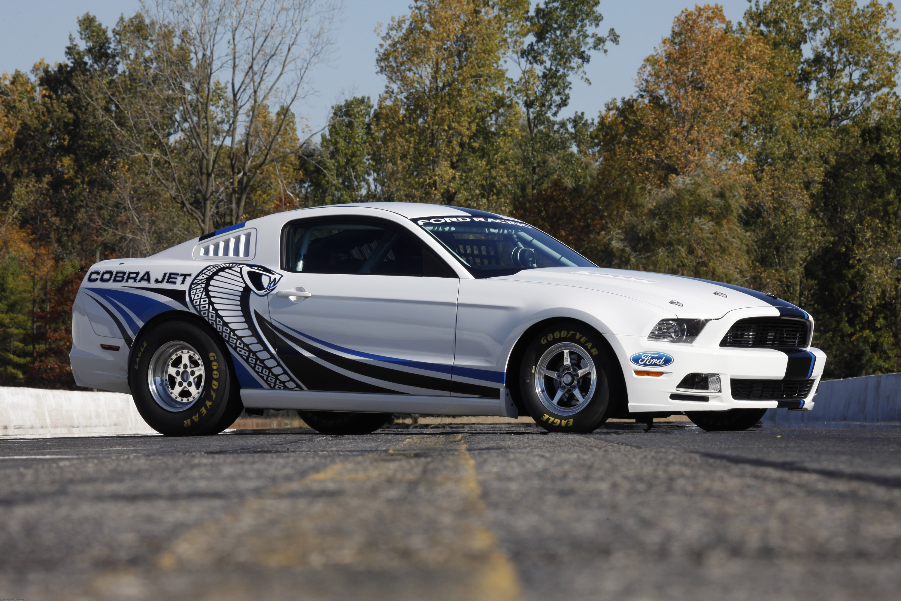 Ford Mustang Cobra Jet 2010