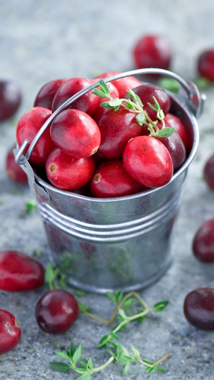 food, cranberry, berry download HD wallpaper