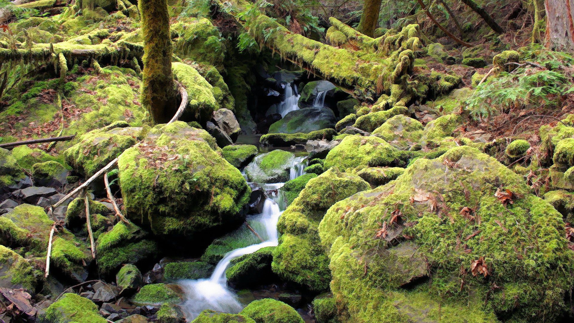 Download mobile wallpaper Brook, Creek, Stones, Forest, Moss, Nature for free.