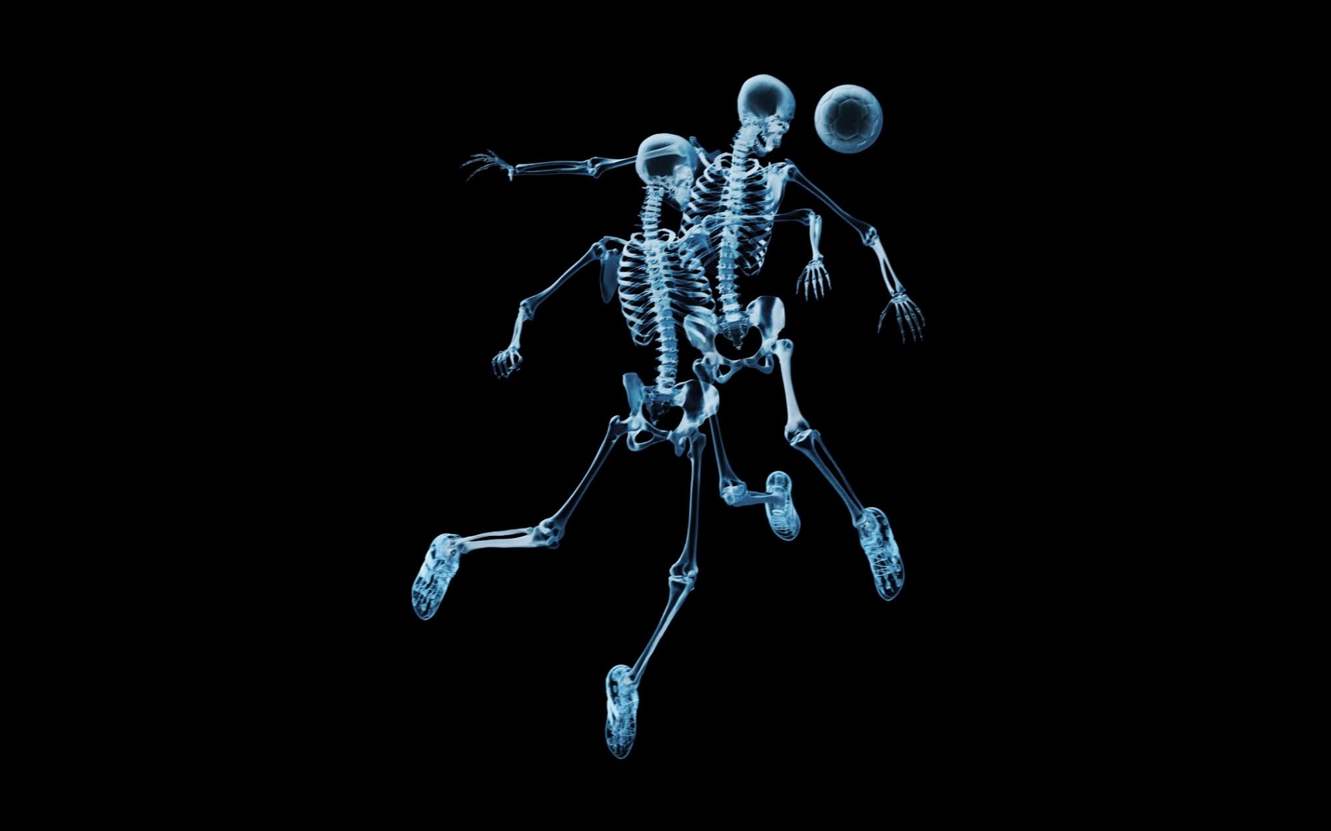 Best Skeletons 4K