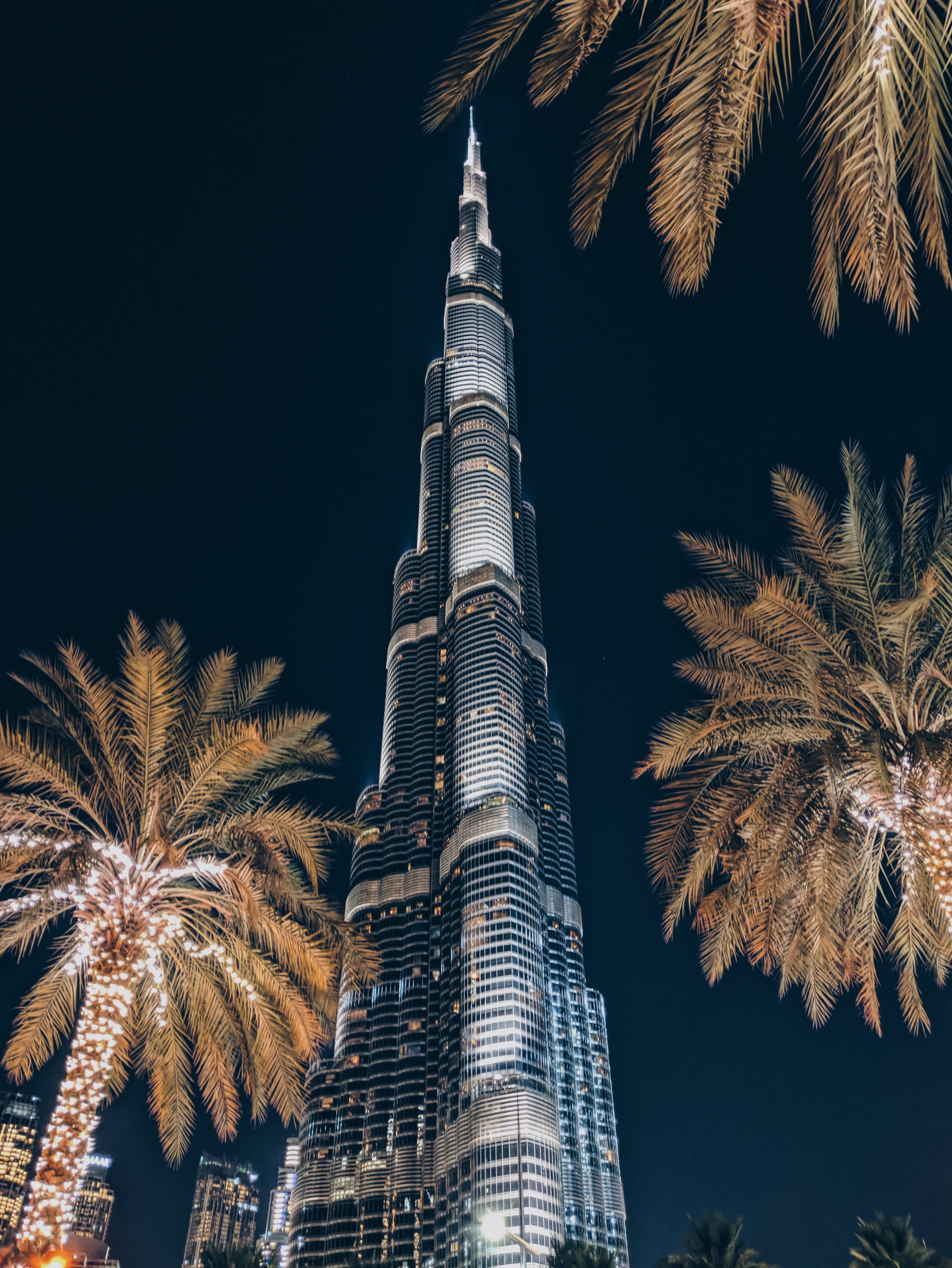 architecture, skyscraper, cities, palms, building, tower Smartphone Background
