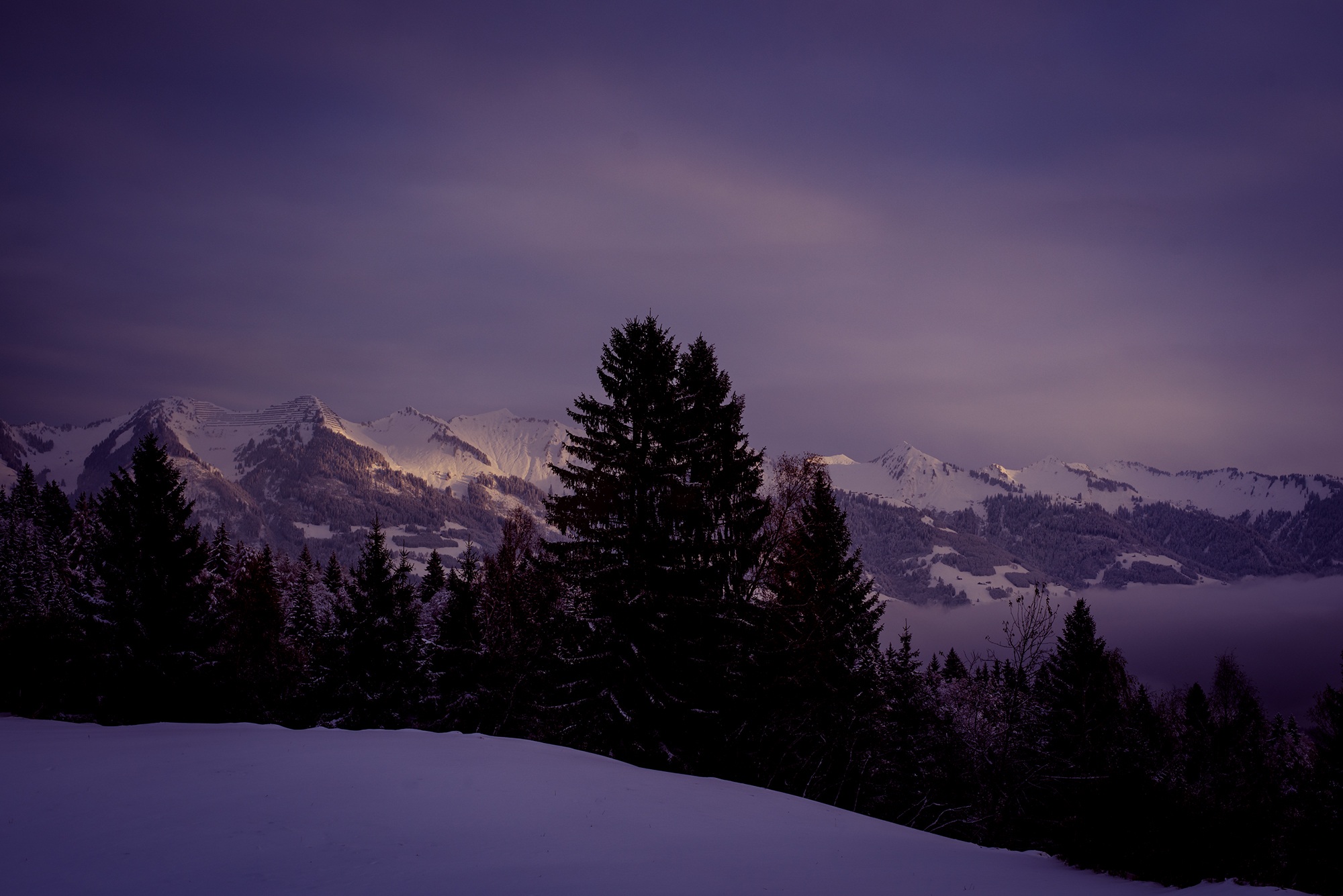 無料モバイル壁紙風景, 冬, 木, 雪, 山, ピーク, オーストリア, 地球, 紫の, 夜, 山岳をダウンロードします。