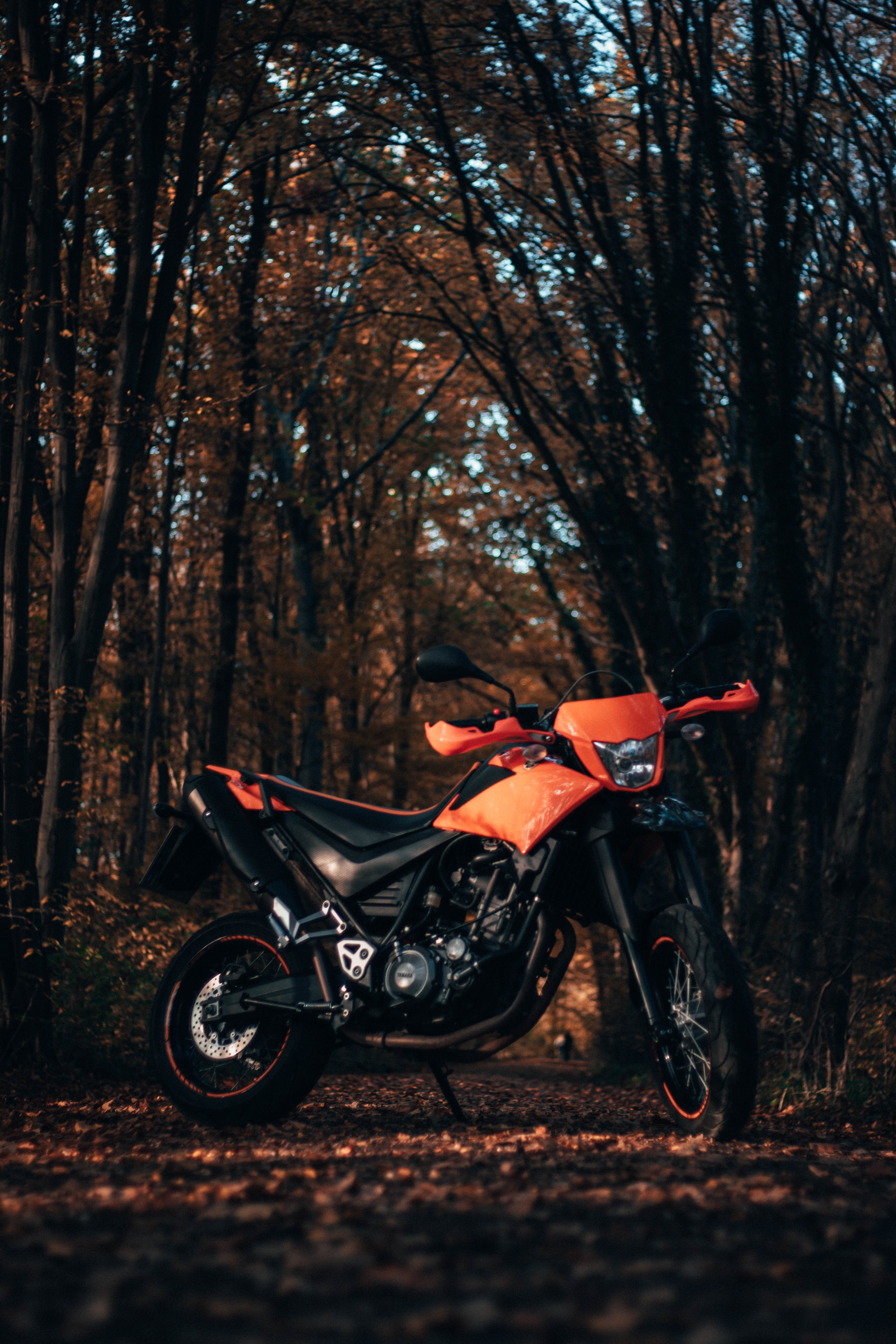 78619 скачать картинку мотоциклы, черный, вид сбоку, оранжевый, мотоцикл, байк, оранжевые - обои и заставки бесплатно