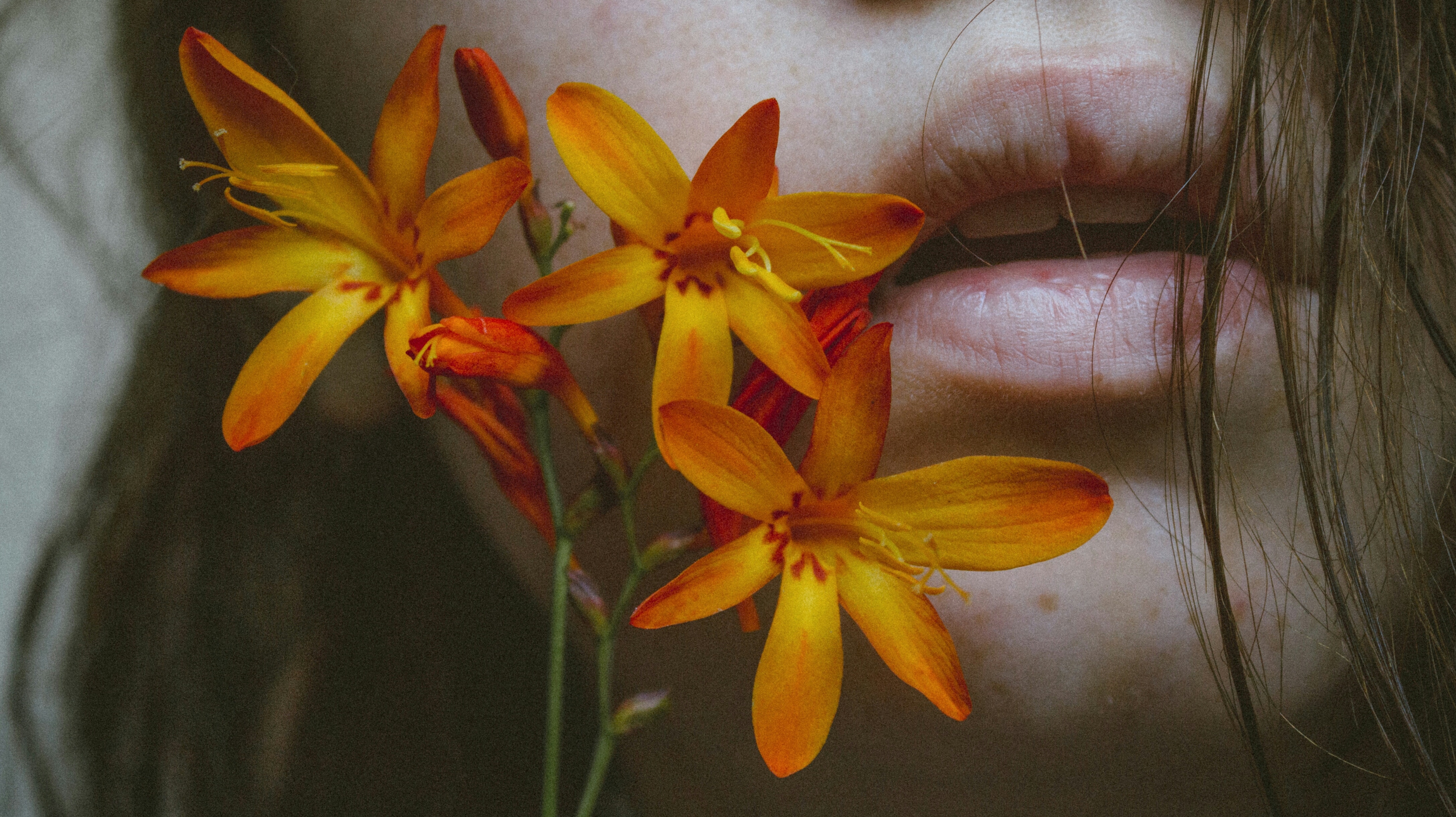 Laden Sie das Zärtlichkeit, Lippen, Sakrament, Sonstige, Blume, Verschiedenes-Bild kostenlos auf Ihren PC-Desktop herunter