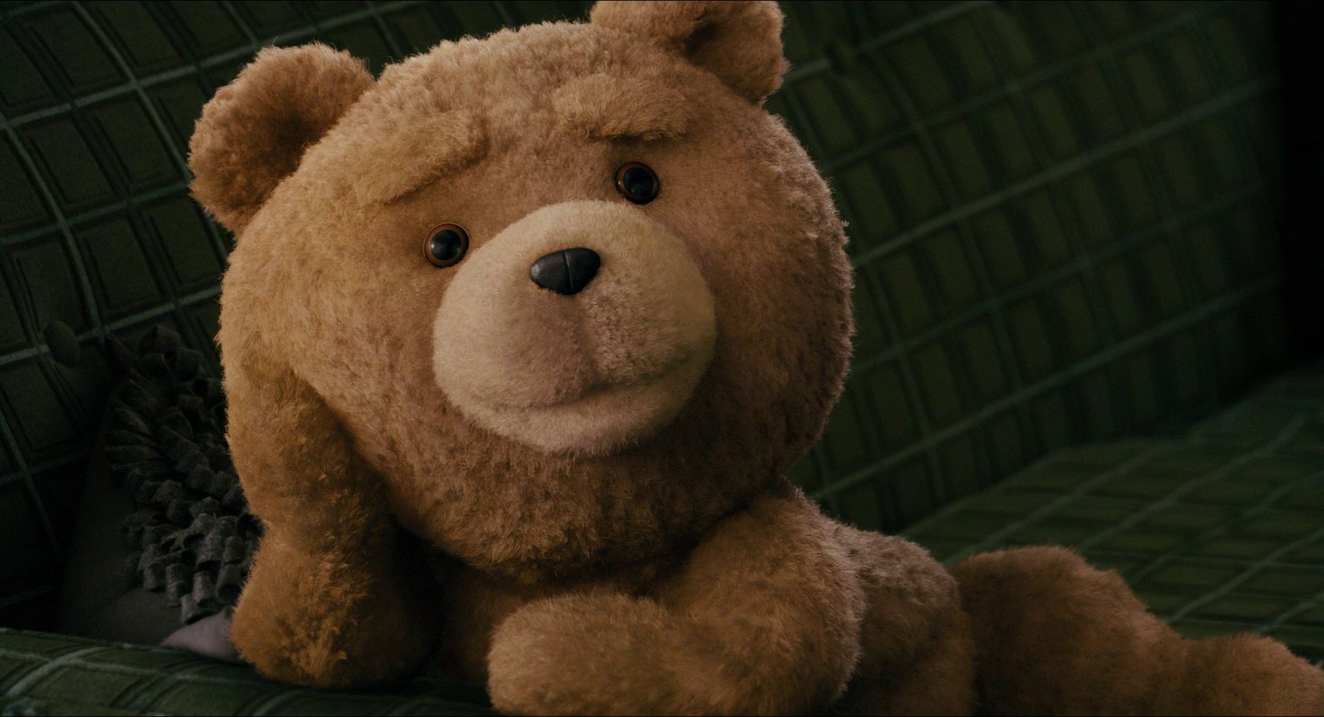 ted (movie character), movie, ted