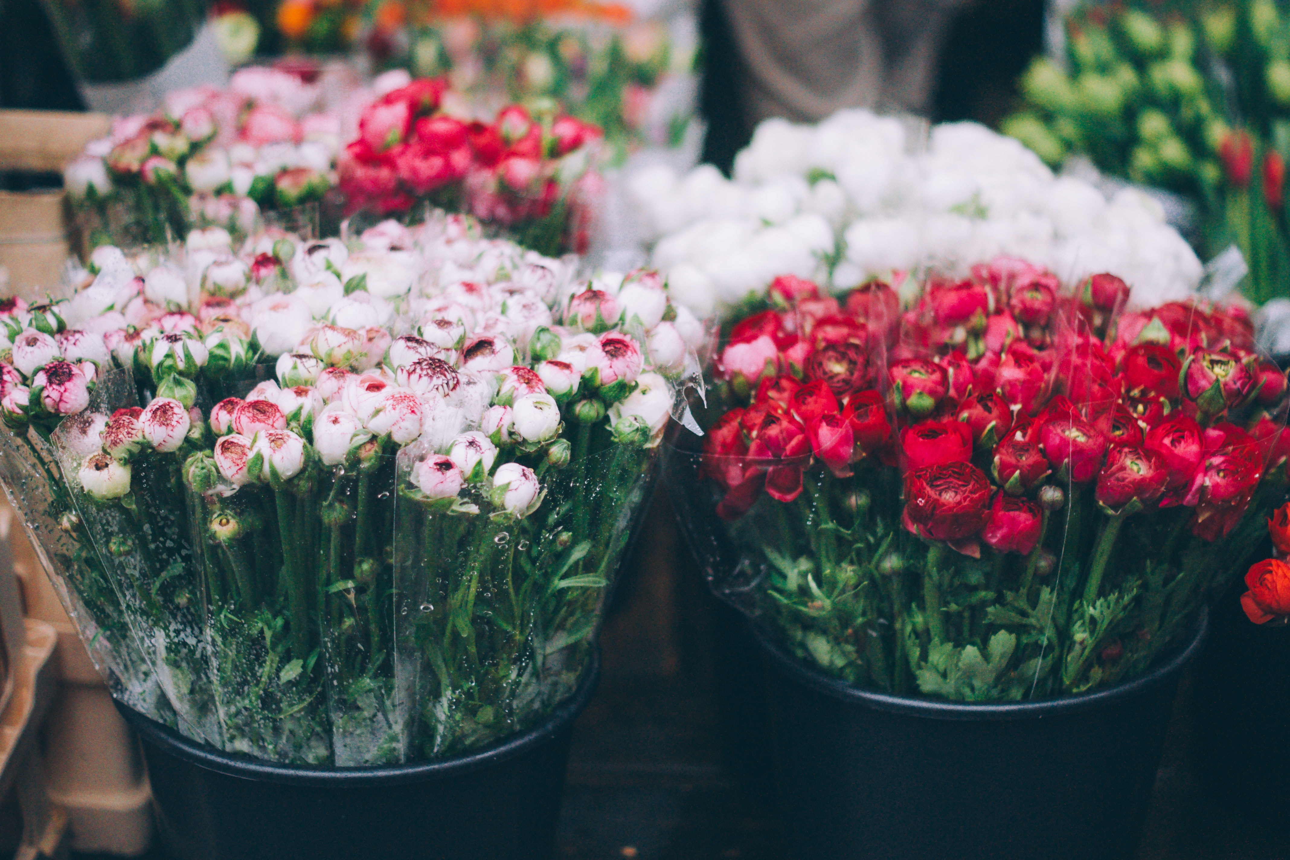flowers, bouquets, blur, smooth