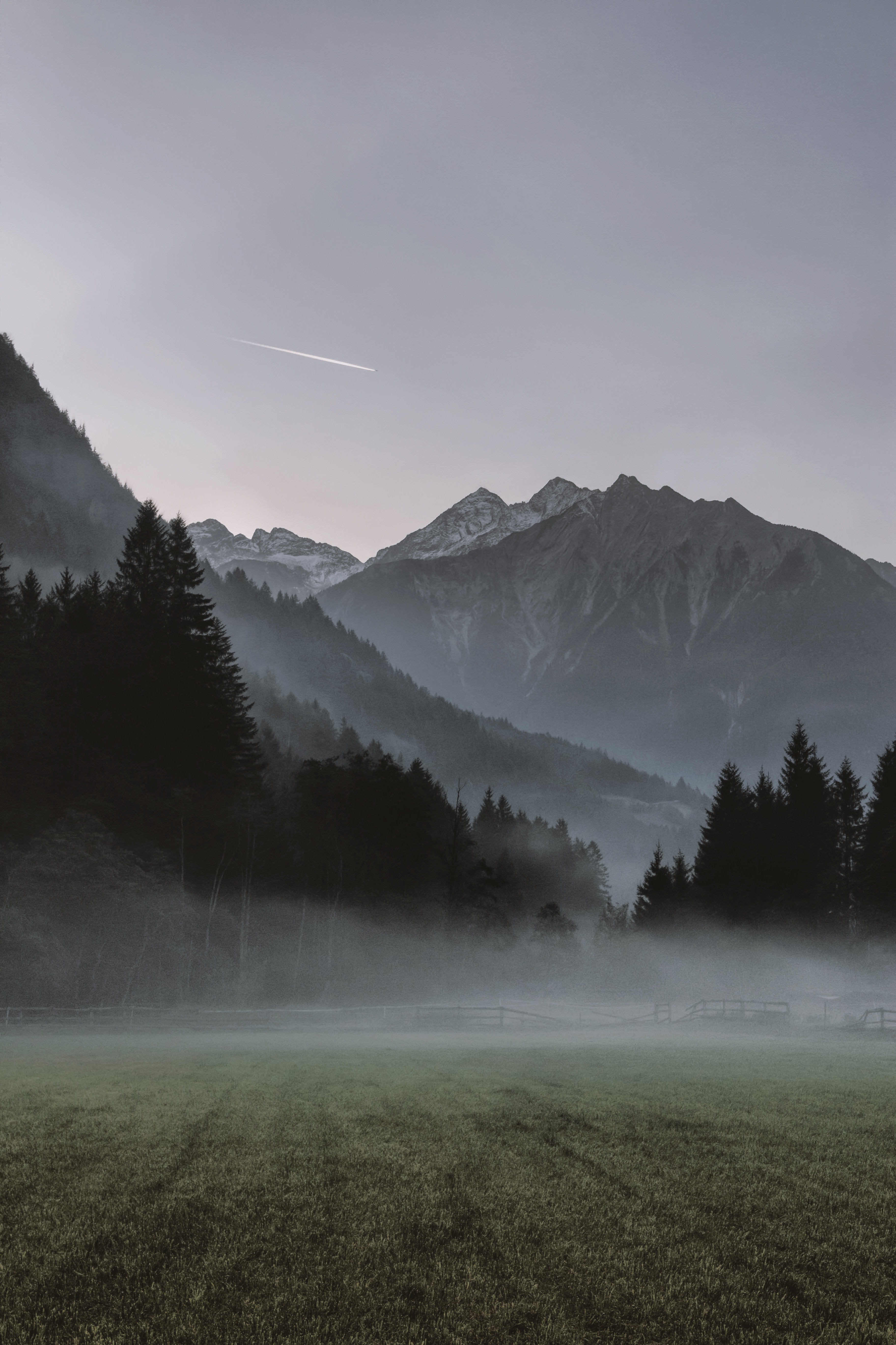 Free HD nature, mountains, trees, fog
