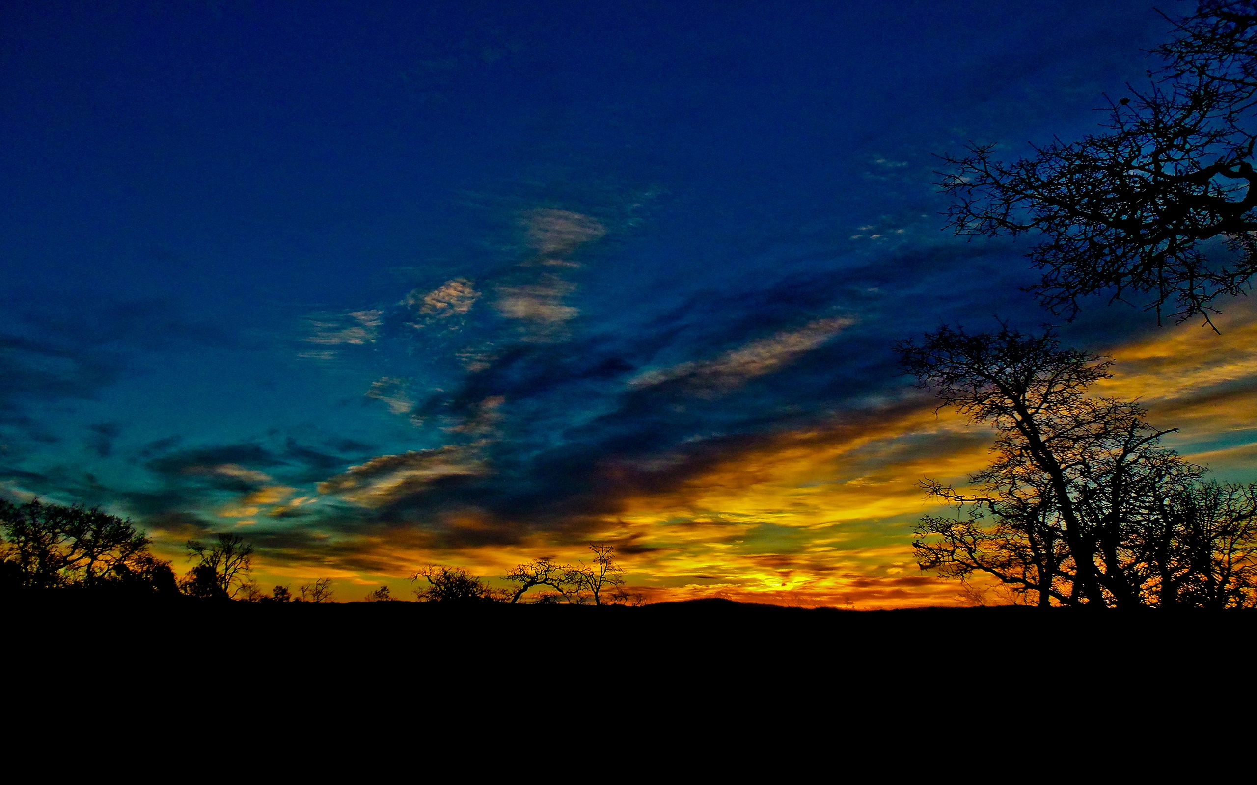 california, sunset, earth, cloud, colors, field, tree