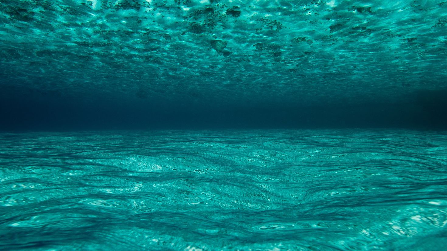 Water underwater. Большое путешествие вглубь океанов 3d фильм 2009. Океан под водой. Море под водой. Дно океана.