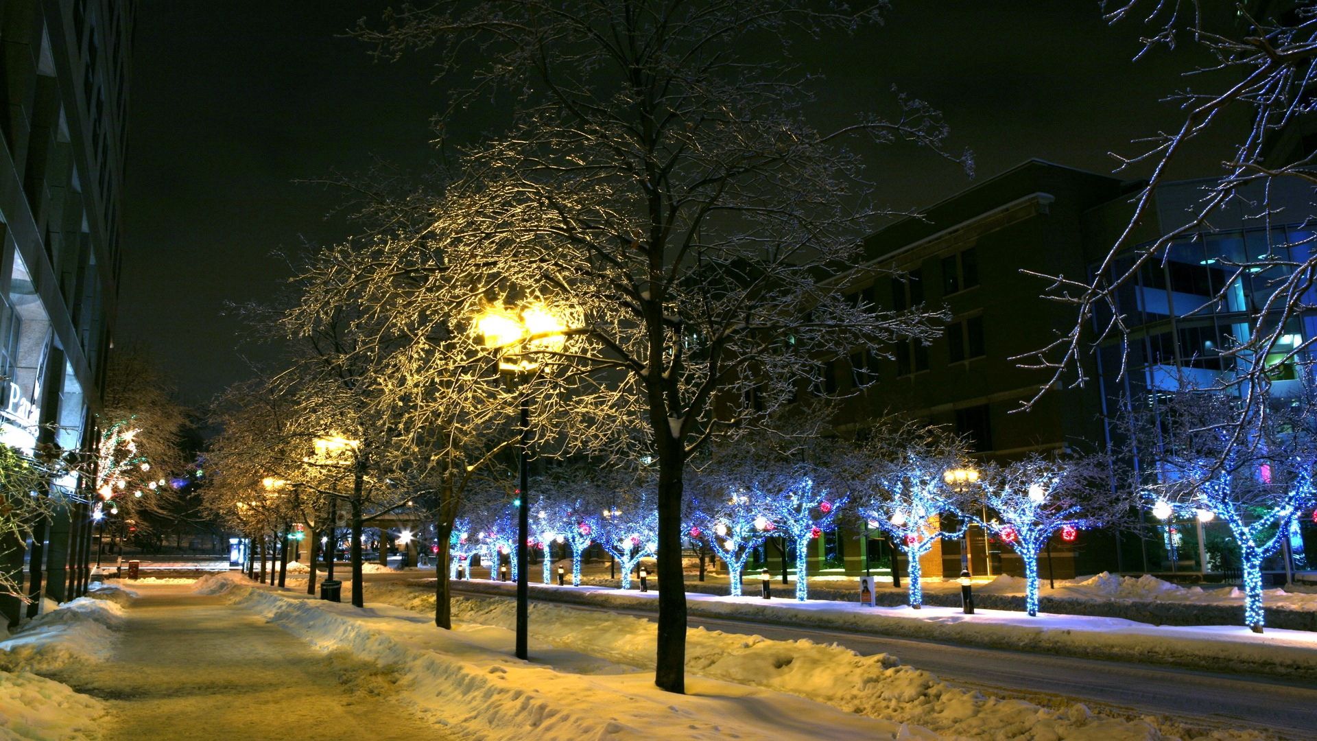 cities, winter, trees, night, city, park, decor, decoration, street