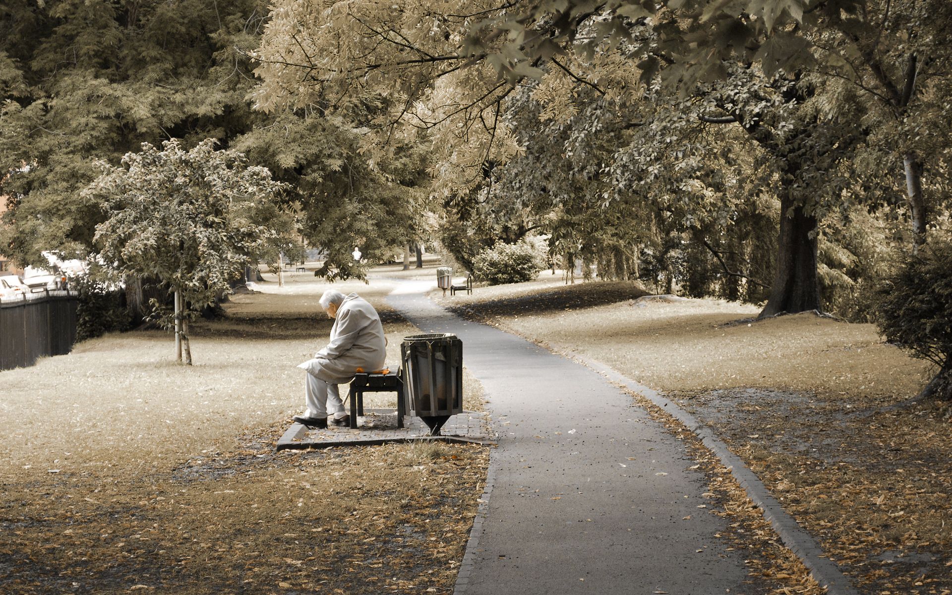 Download mobile wallpaper Sit, Elderly, Miscellanea, Person, Trees, Bench, Miscellaneous, Park, Human, Loneliness for free.