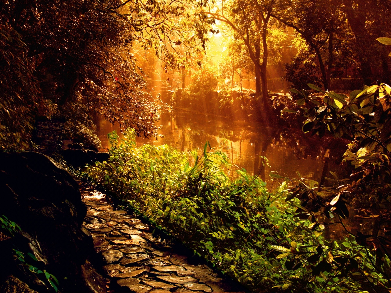 Download mobile wallpaper Rivers, Water, Plants, Landscape for free.