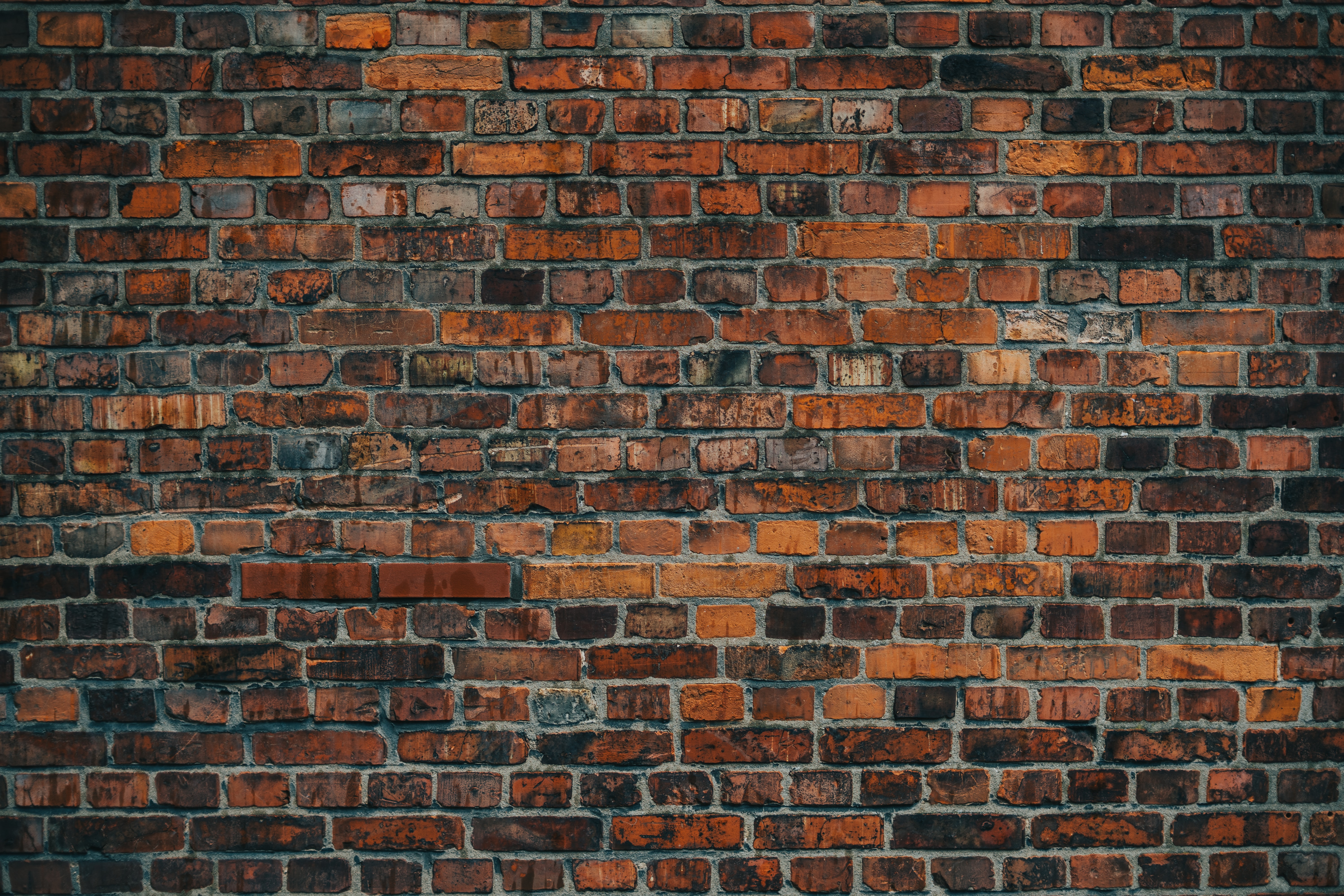 wall, texture, brick wall, bricks, red, textures Free Stock Photo
