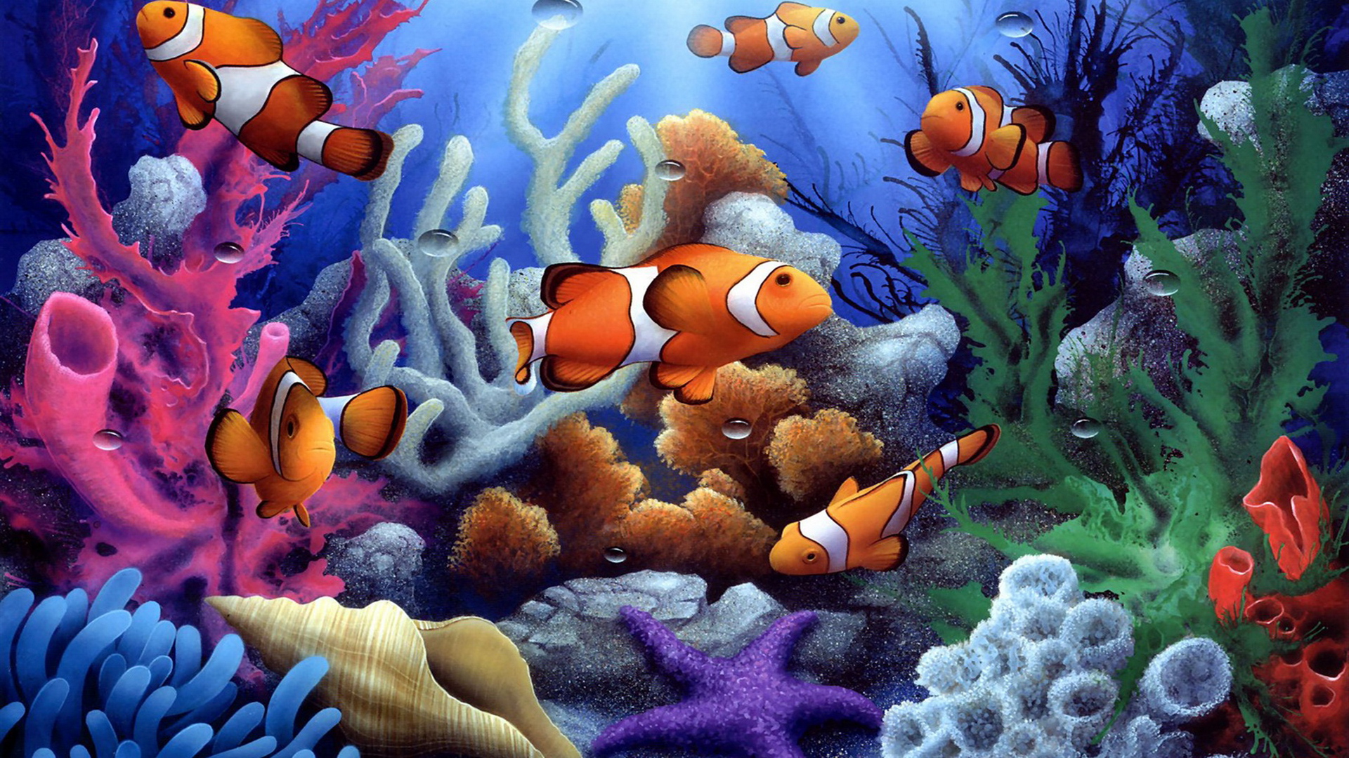 269780 Hintergrundbild herunterladen fische, tiere, clownfisch, bunt, koralle, fisch, muschel - Bildschirmschoner und Bilder kostenlos