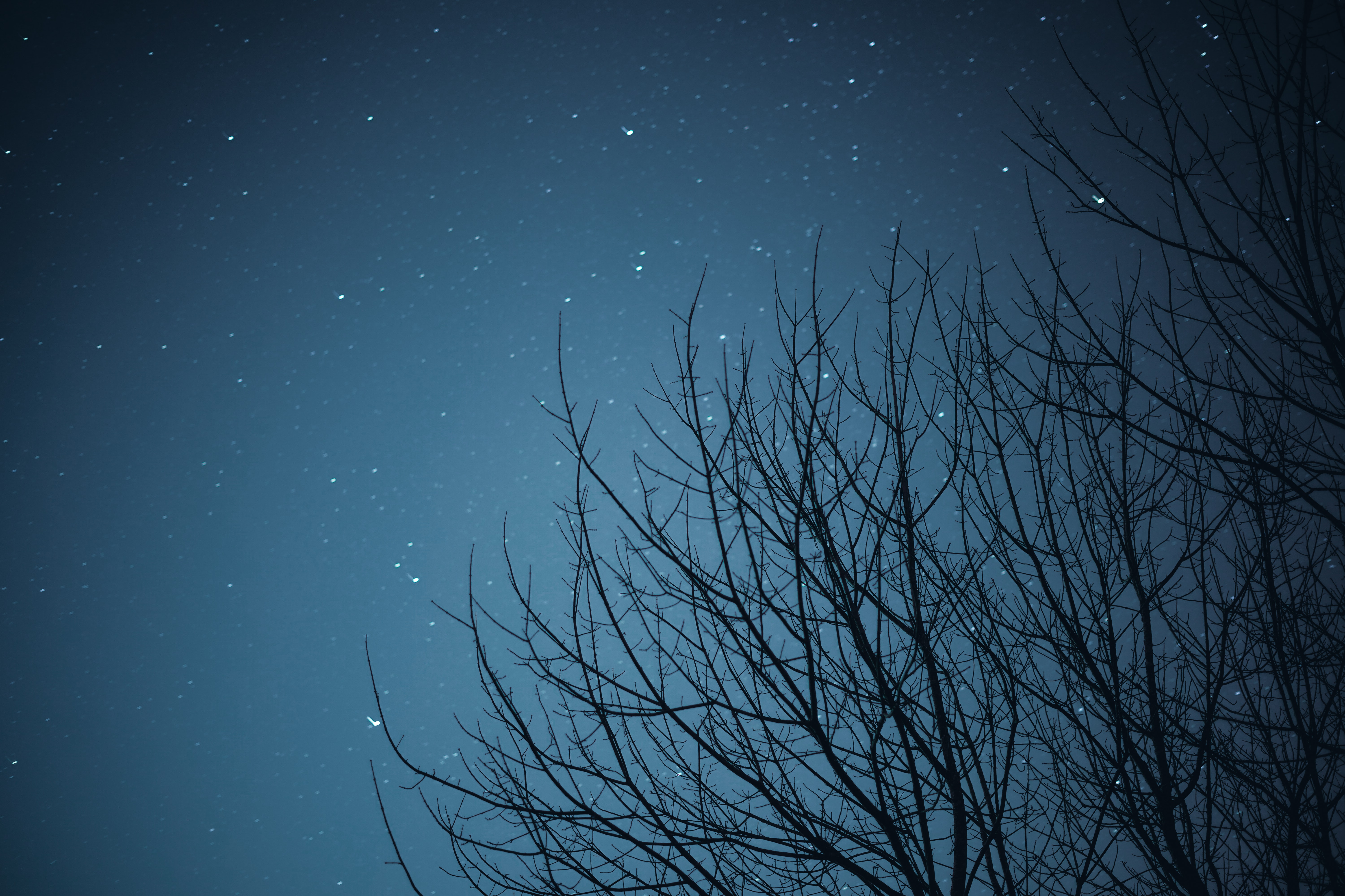 Download mobile wallpaper Branches, Starry Sky, Stars, Night, Dark for free.