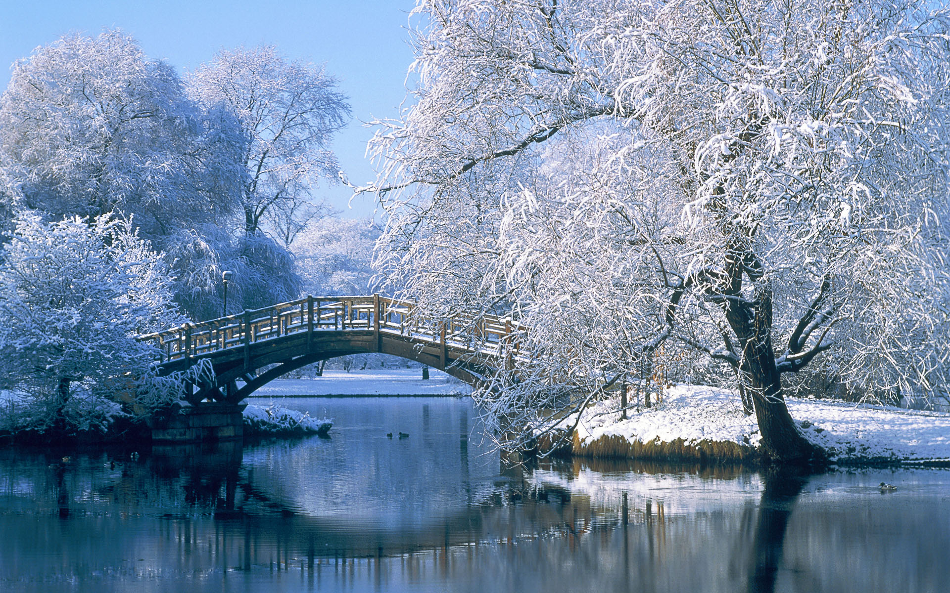 wallpapers landscape, water, bridge, winter, photography, snow, reflection, tree, pond