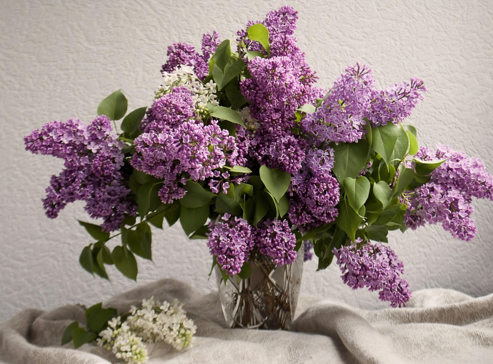 Download mobile wallpaper Bouquet, Flowers, Lilac, Vase, Mood, Spring for free.