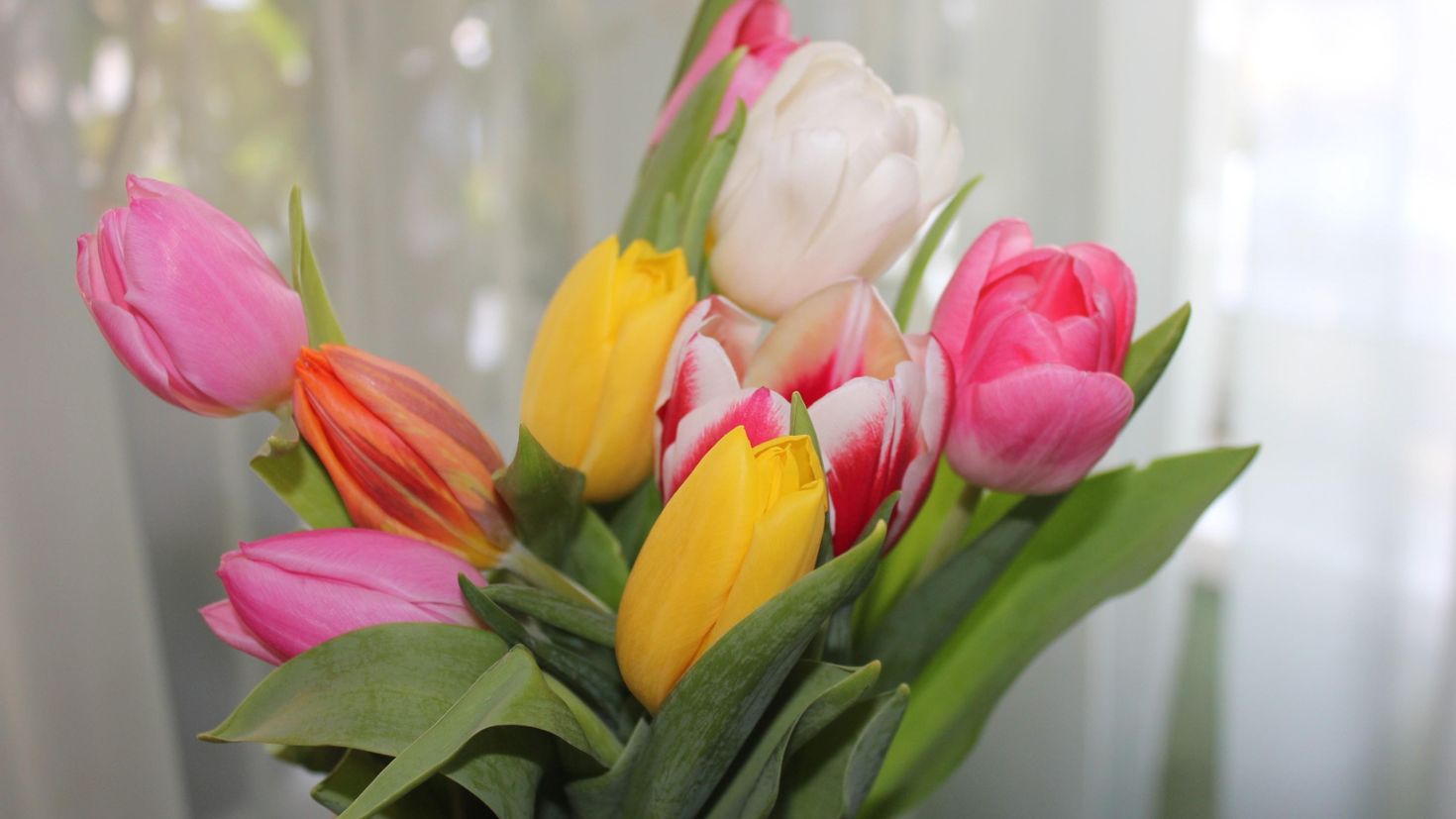 Как дольше сохранить цветы тюльпаны. Букет тюльпанов. Красивый весенний букет. Весенний букет тюльпанов.